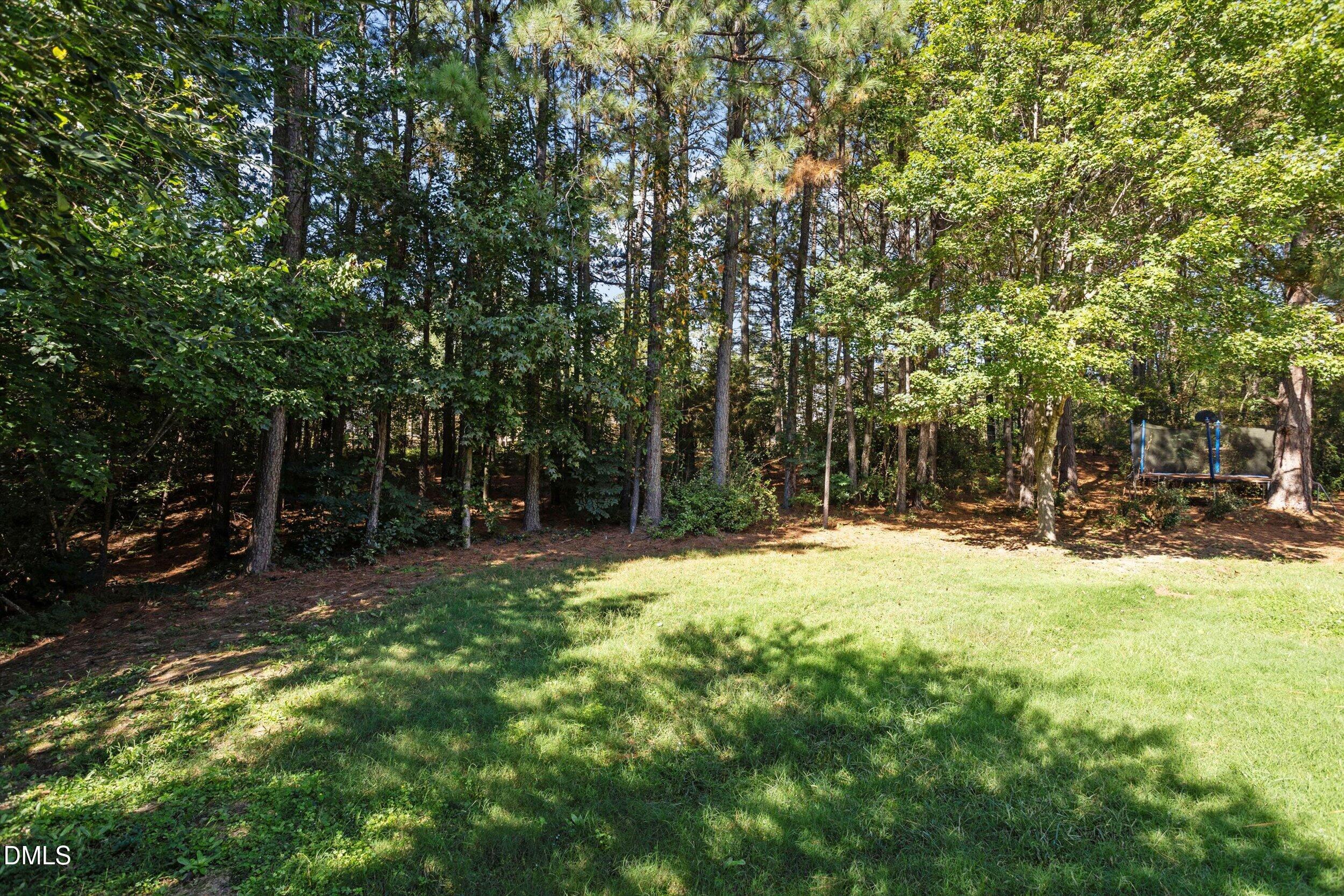 106 Milley Brook Court Property Photo 33