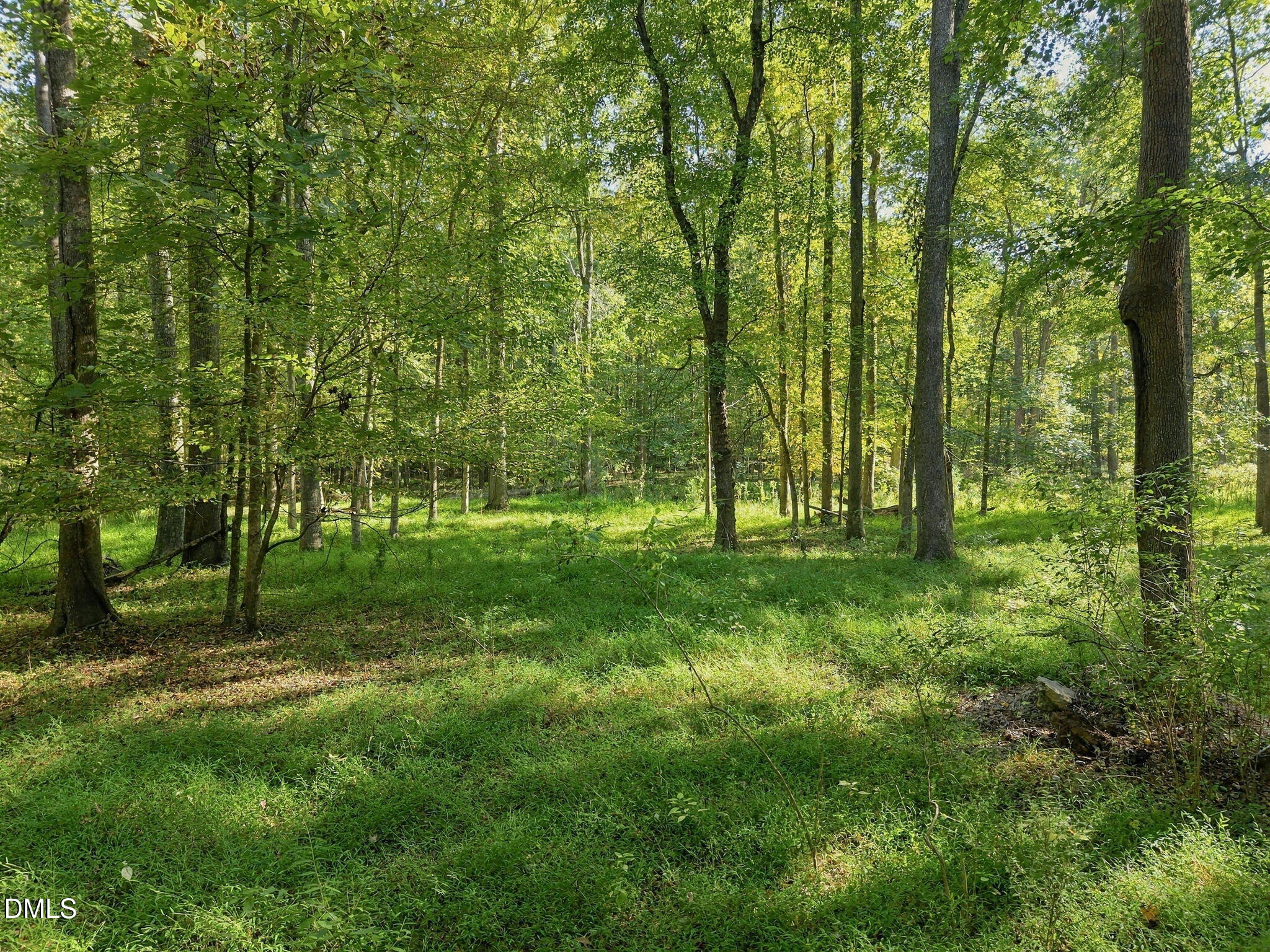 2975 Canter Drive Property Photo 47