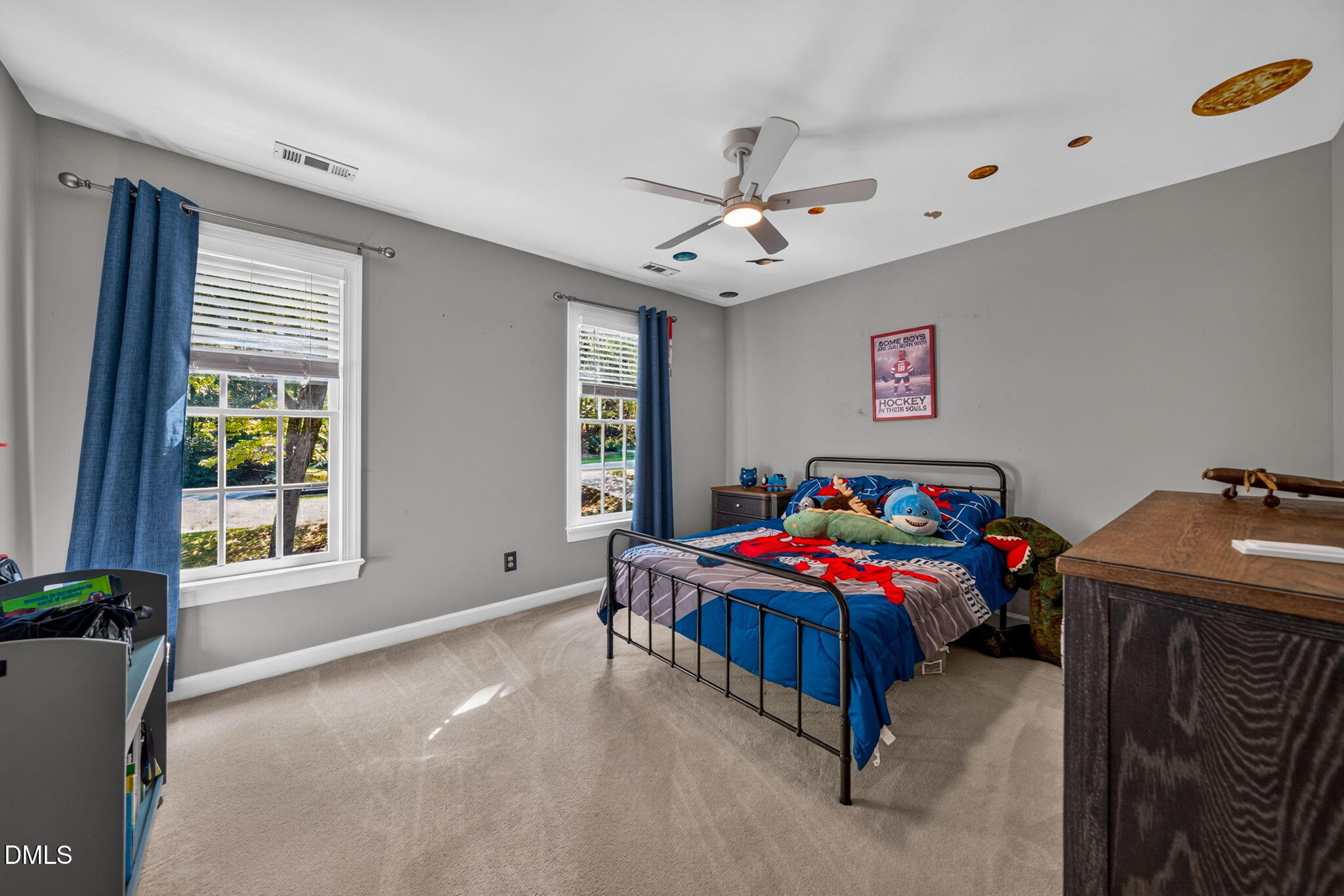 14012 Bingham Drive Property Photo 43