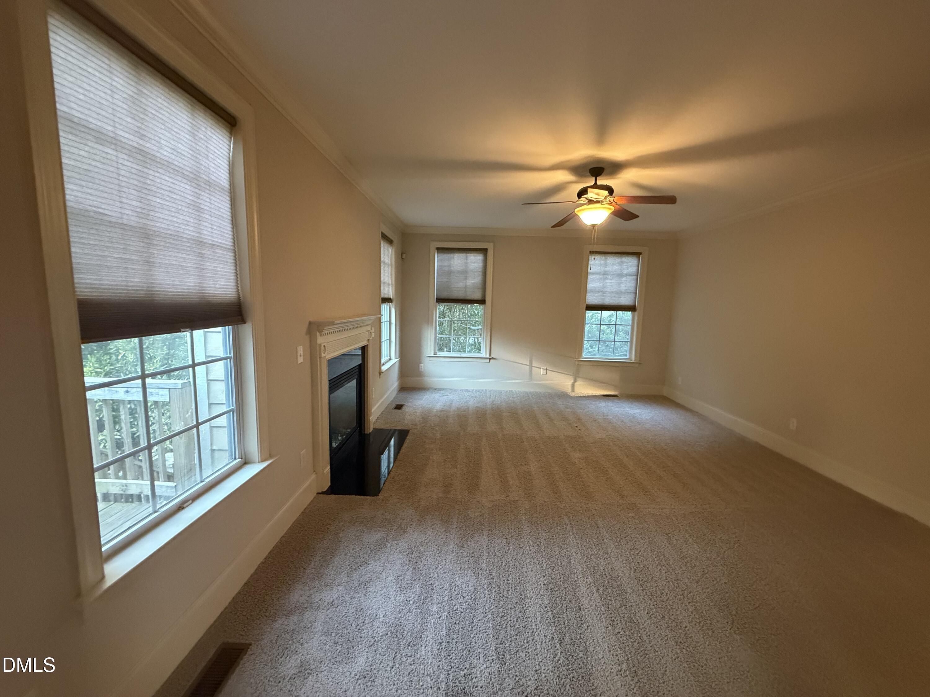 101 Gillyweed Court Property Photo 2