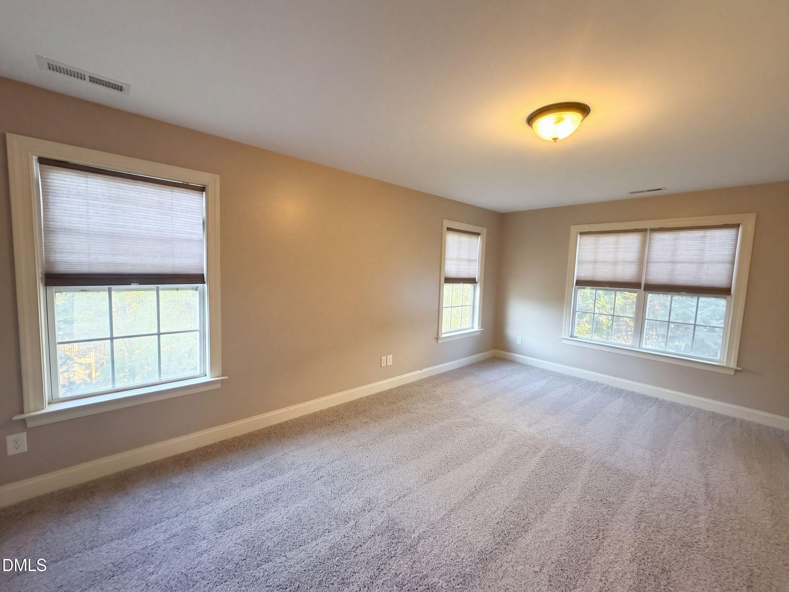 101 Gillyweed Court Property Photo 16