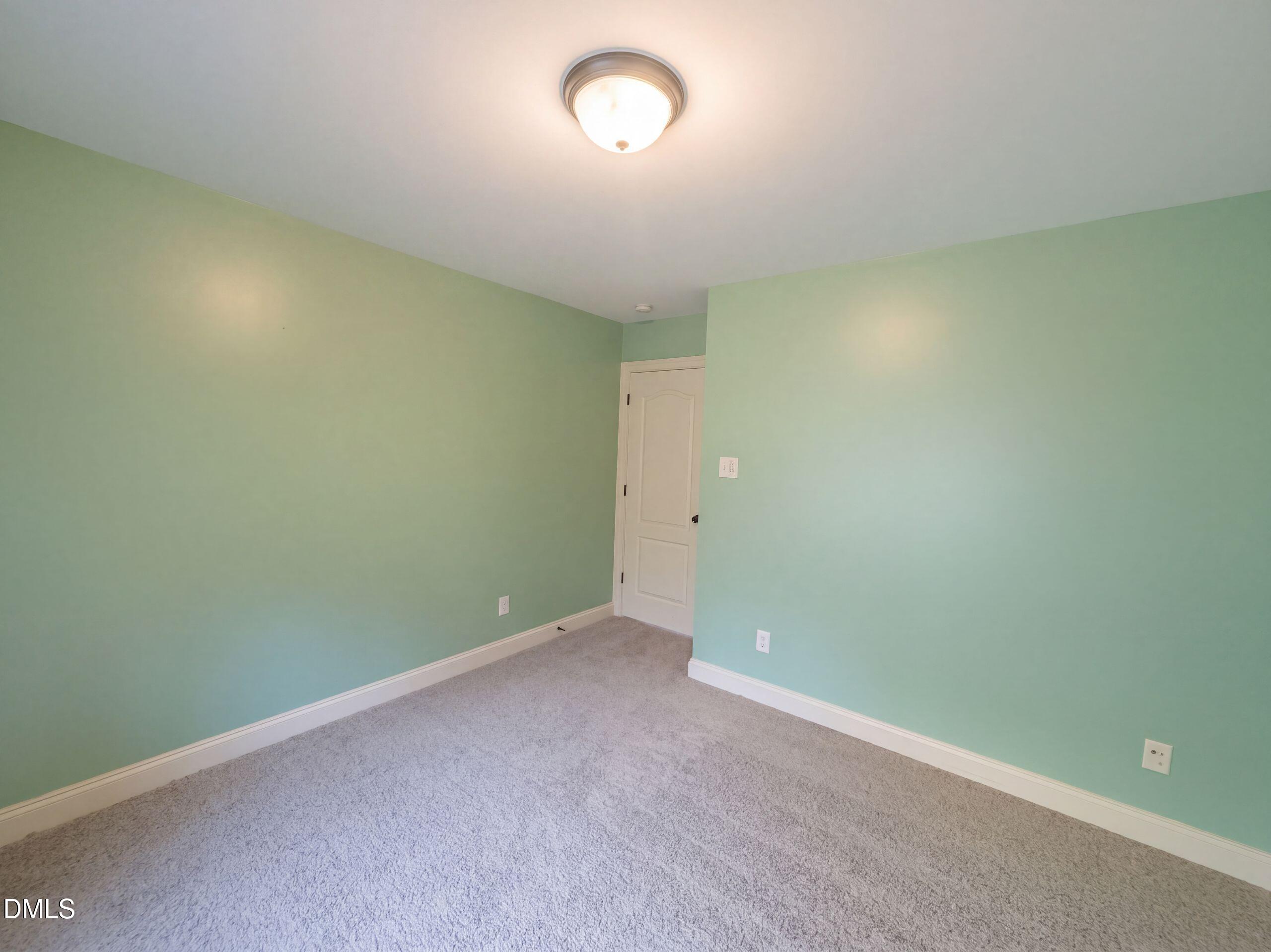 101 Gillyweed Court Property Photo 19