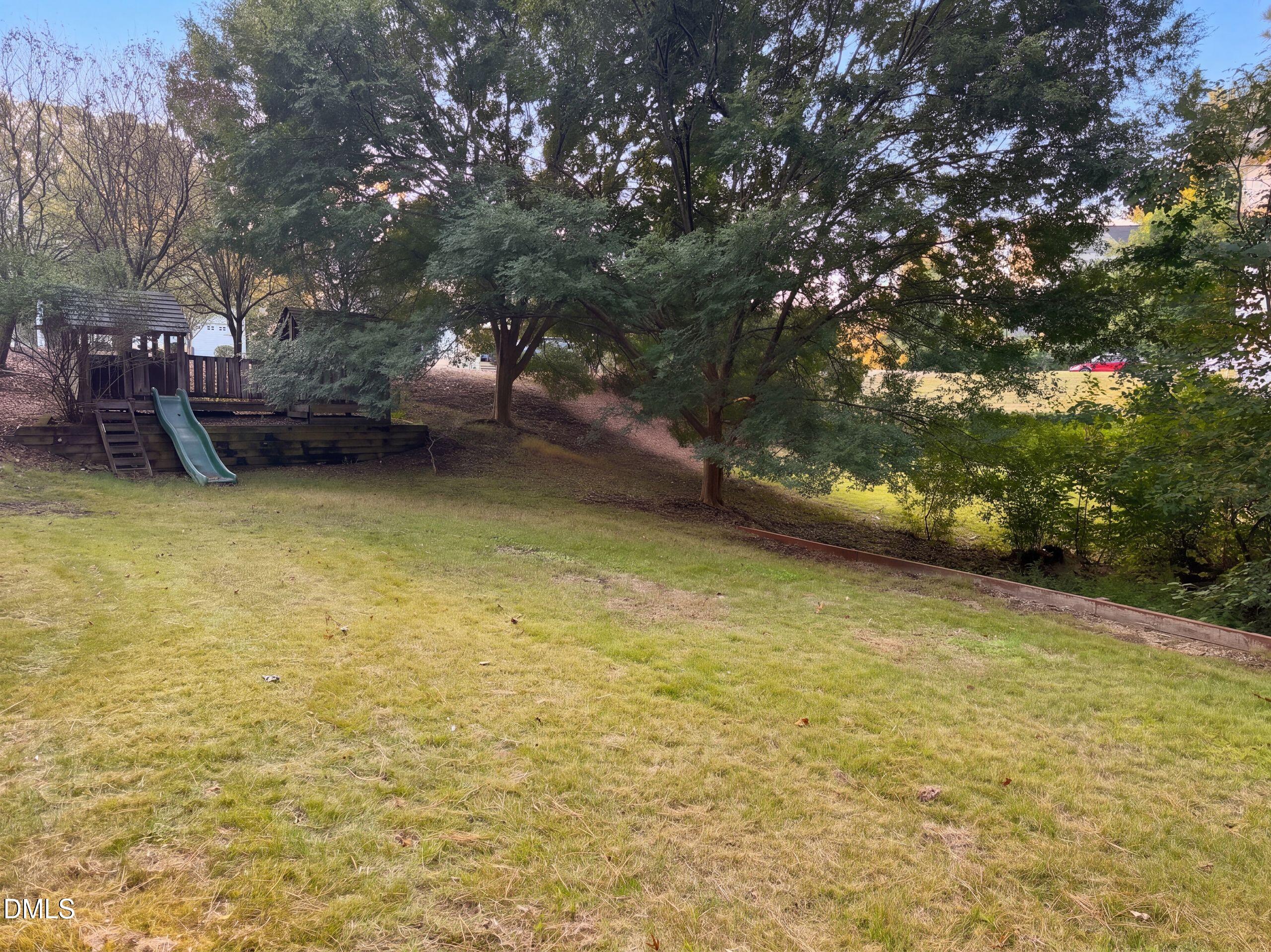 101 Gillyweed Court Property Photo 43