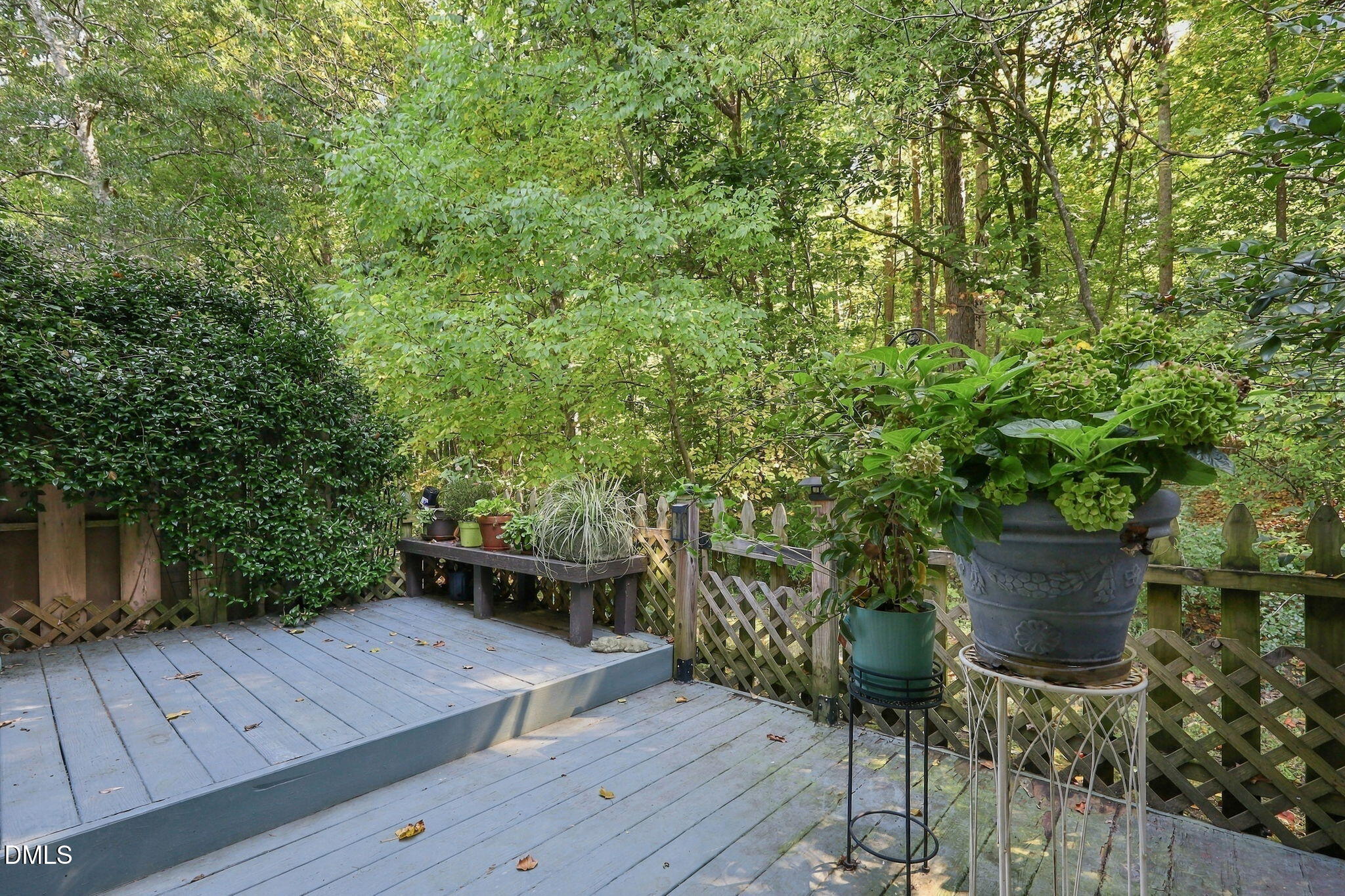 220 Elizabeth Street Property Photo 28