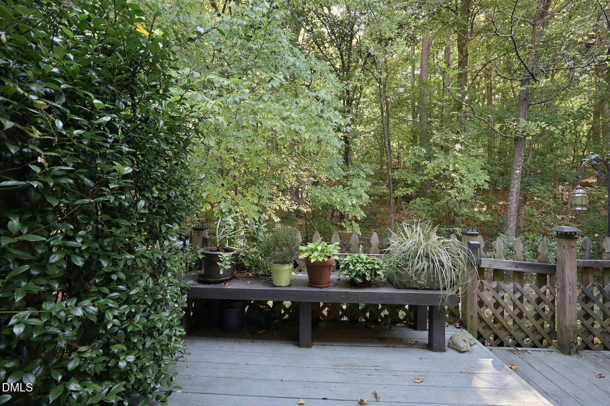220 Elizabeth Street Property Photo 30