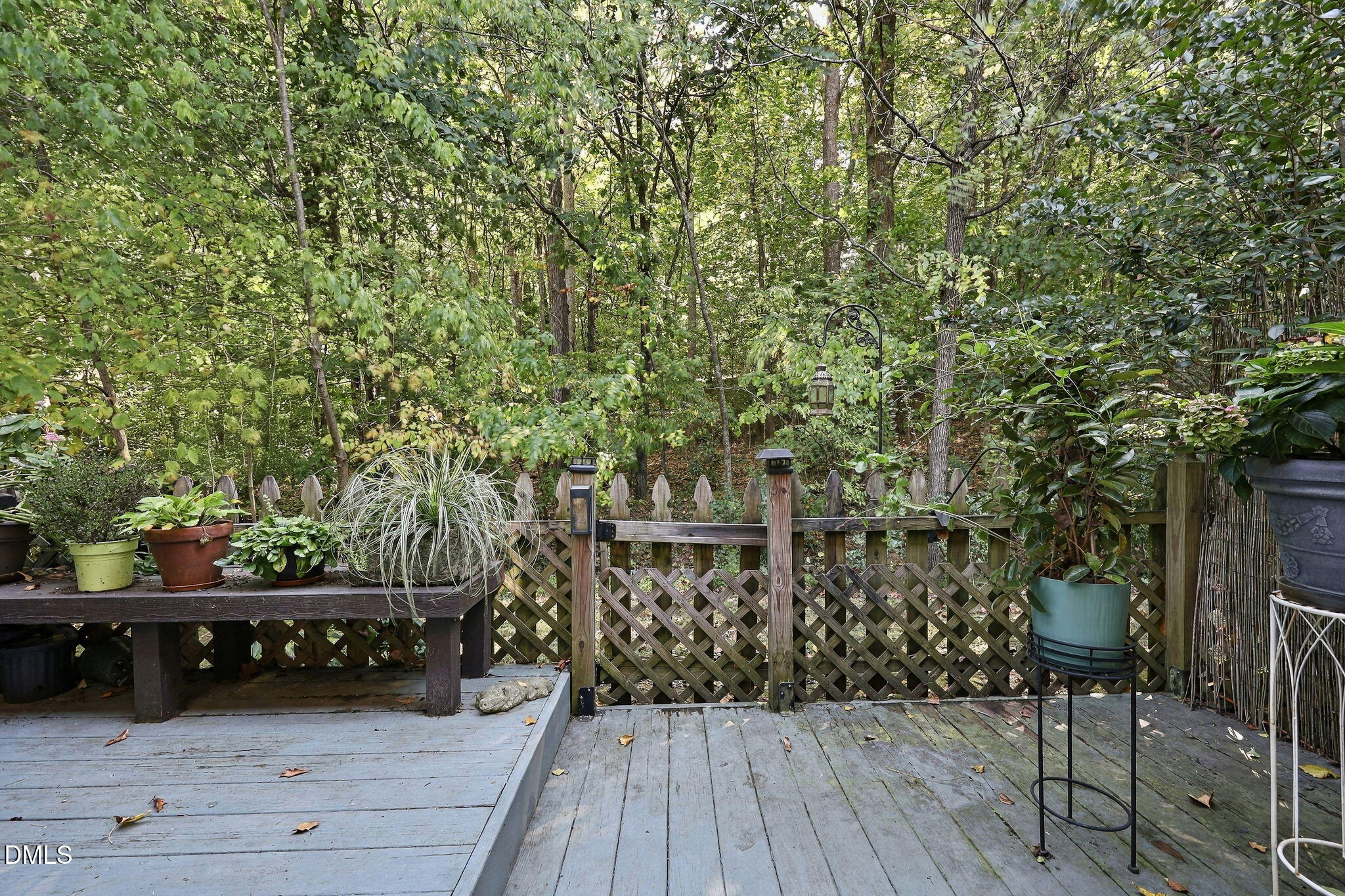220 Elizabeth Street Property Photo 31