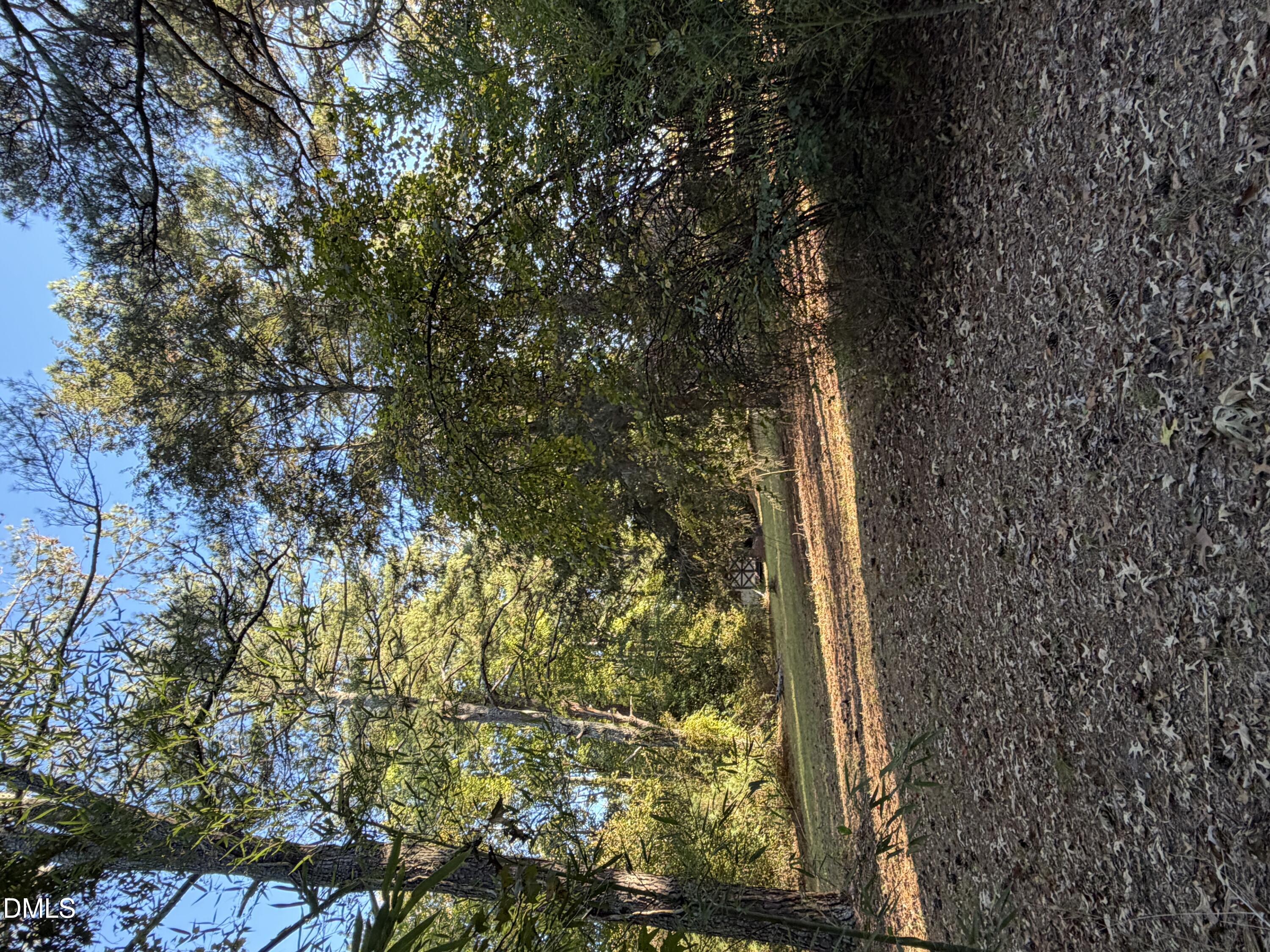 5625 Fixit Shop Road Property Photo 14