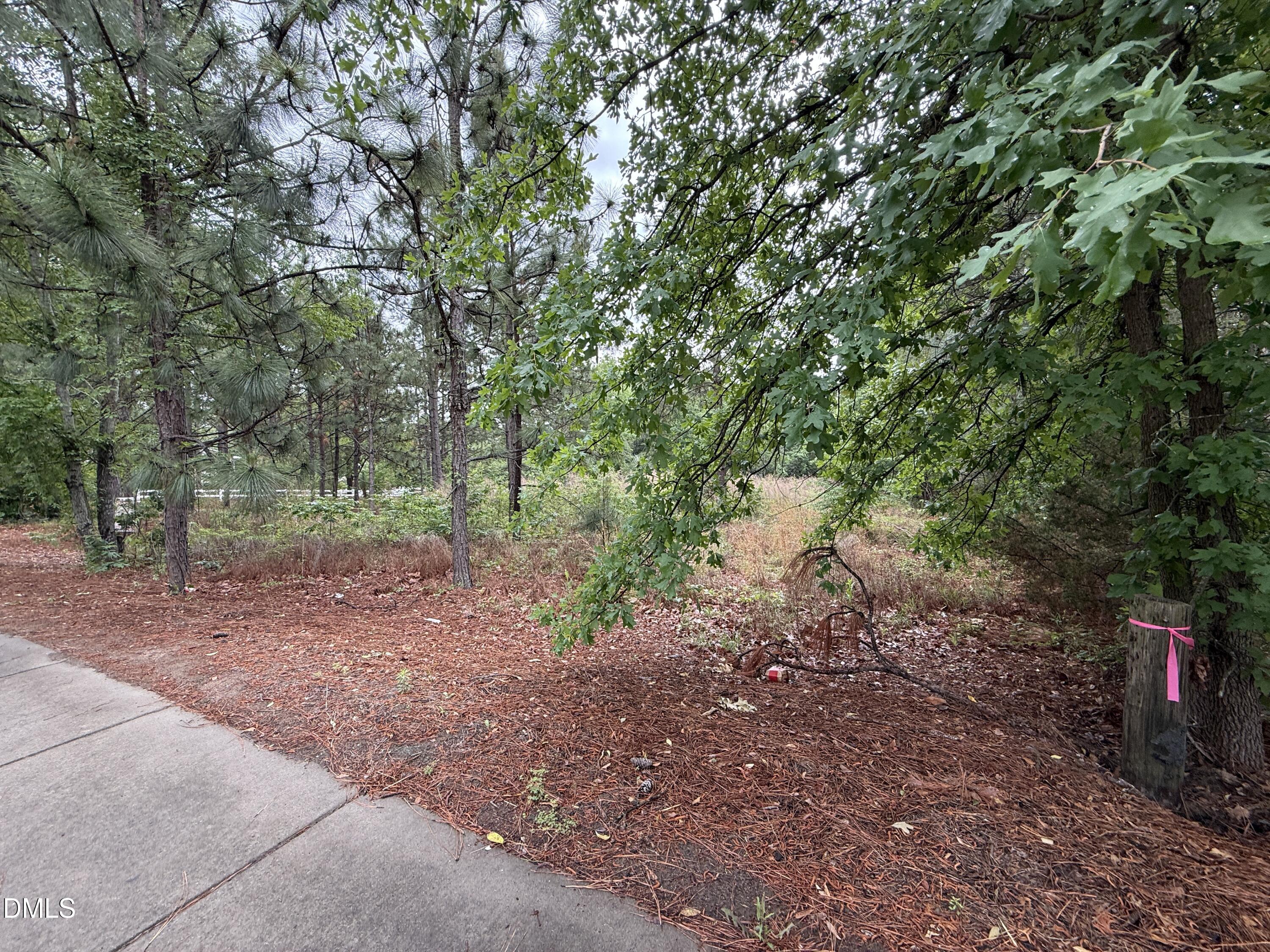 280 Murray Hill Road Property Photo 1