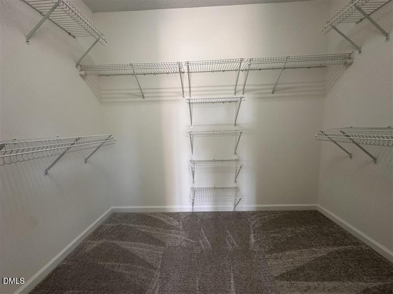 101 Hewitt Court Property Photo 18