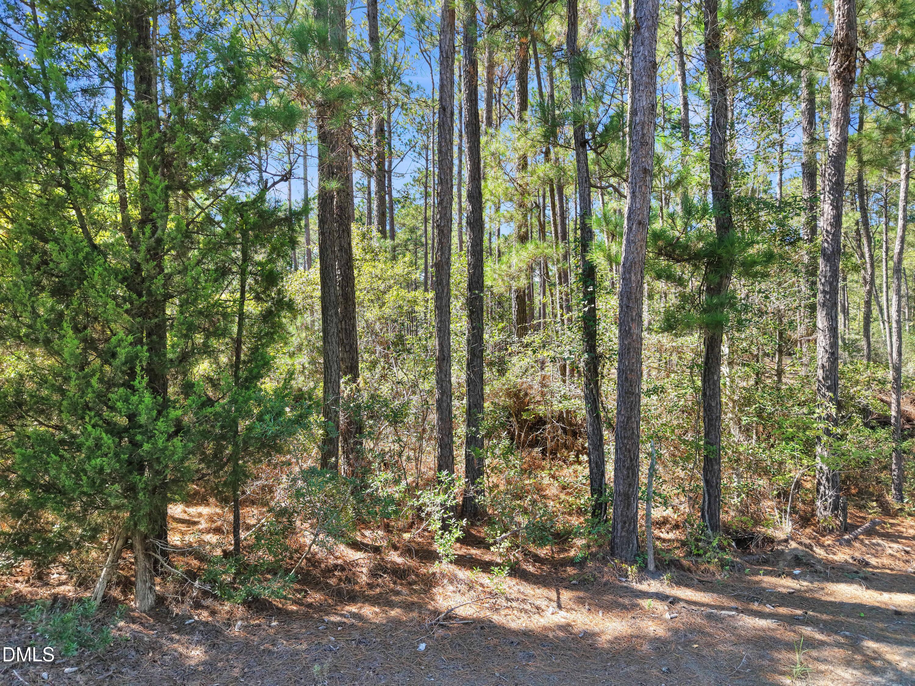 719 Russtown Road Nw Property Photo 3