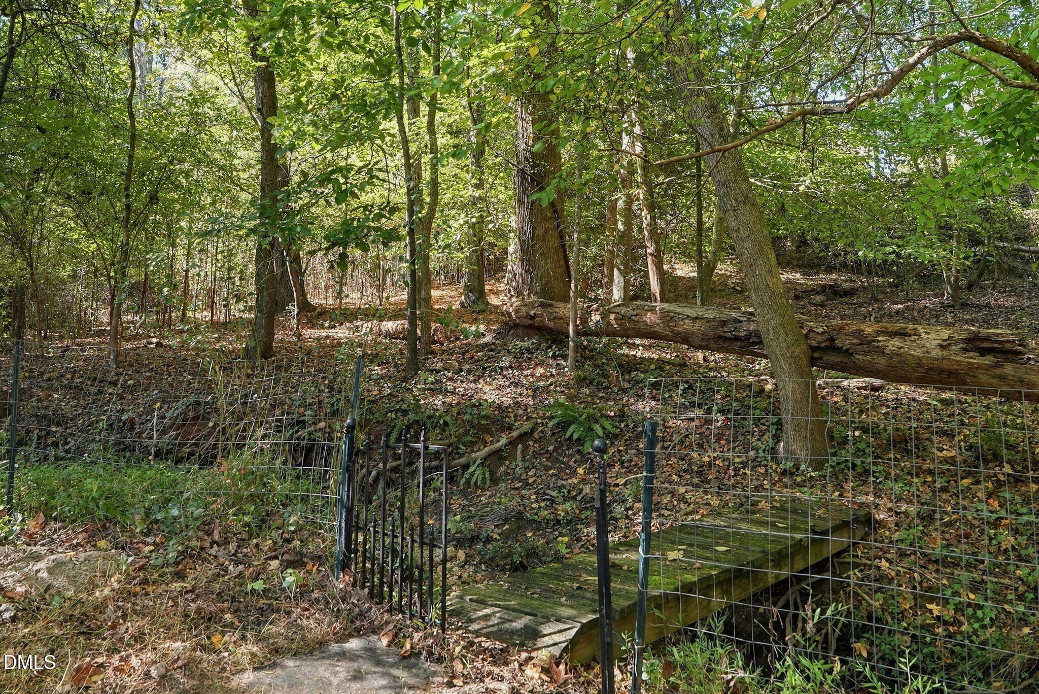 8813 Braceridge Road Property Photo 90