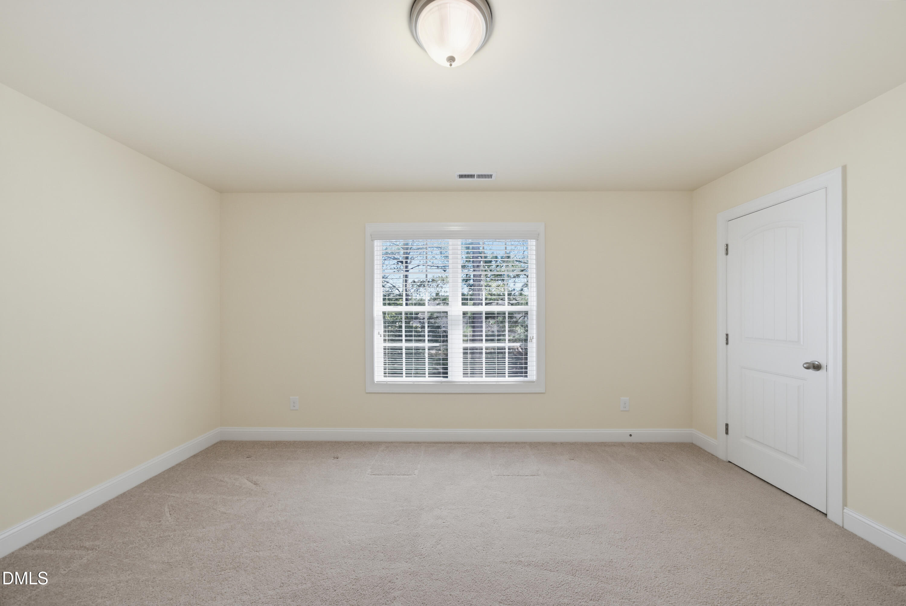 1009 Brintons Mill Lane Property Photo 27