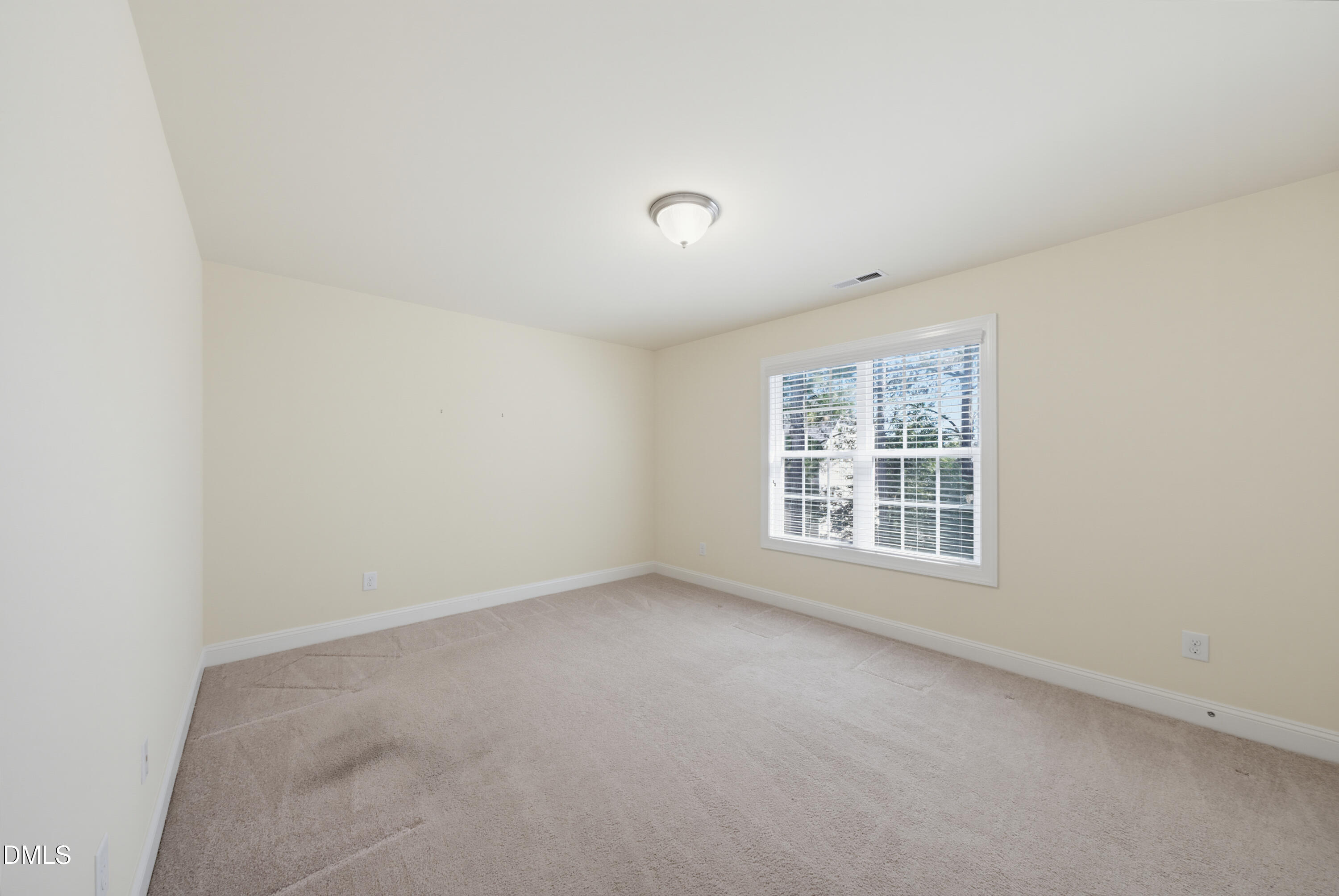 1009 Brintons Mill Lane Property Photo 31