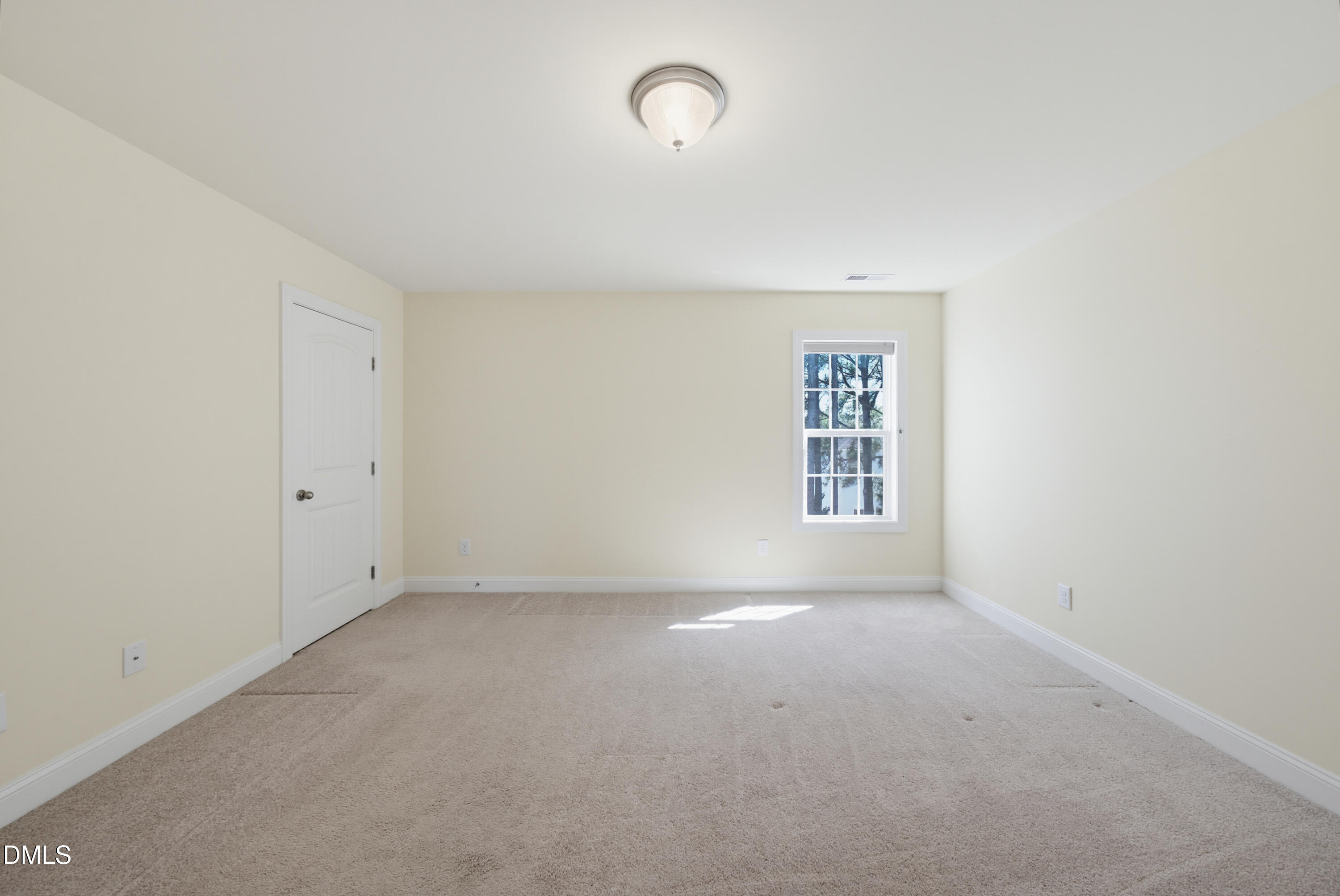 1009 Brintons Mill Lane Property Photo 33