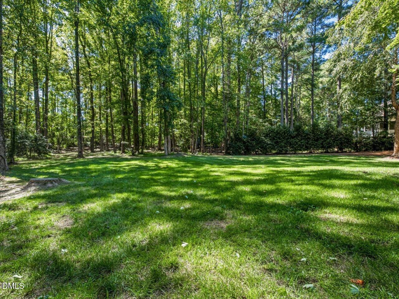 7308 Barham Hollow Drive Property Photo 12