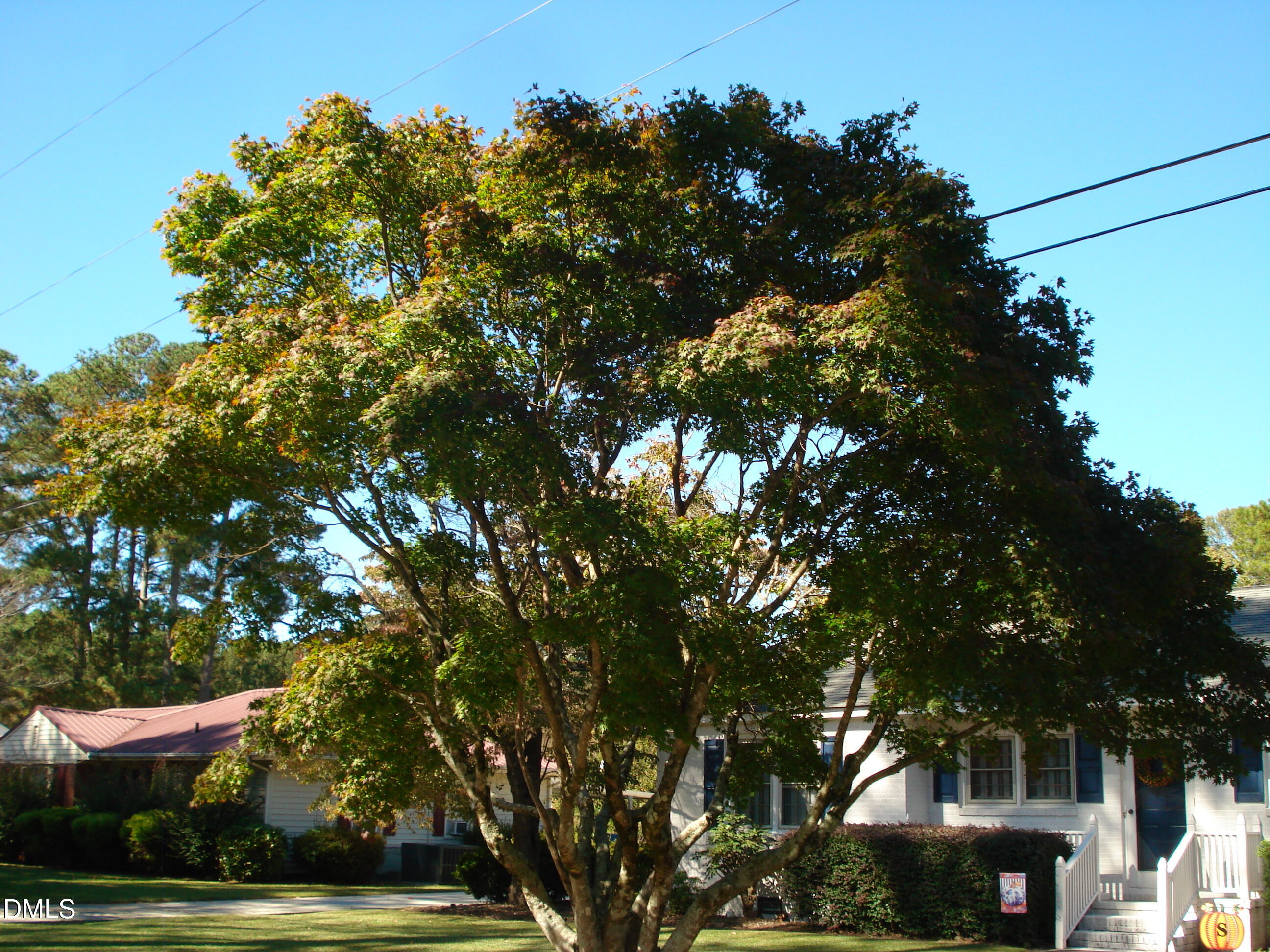 104 Jones Drive Property Photo 40