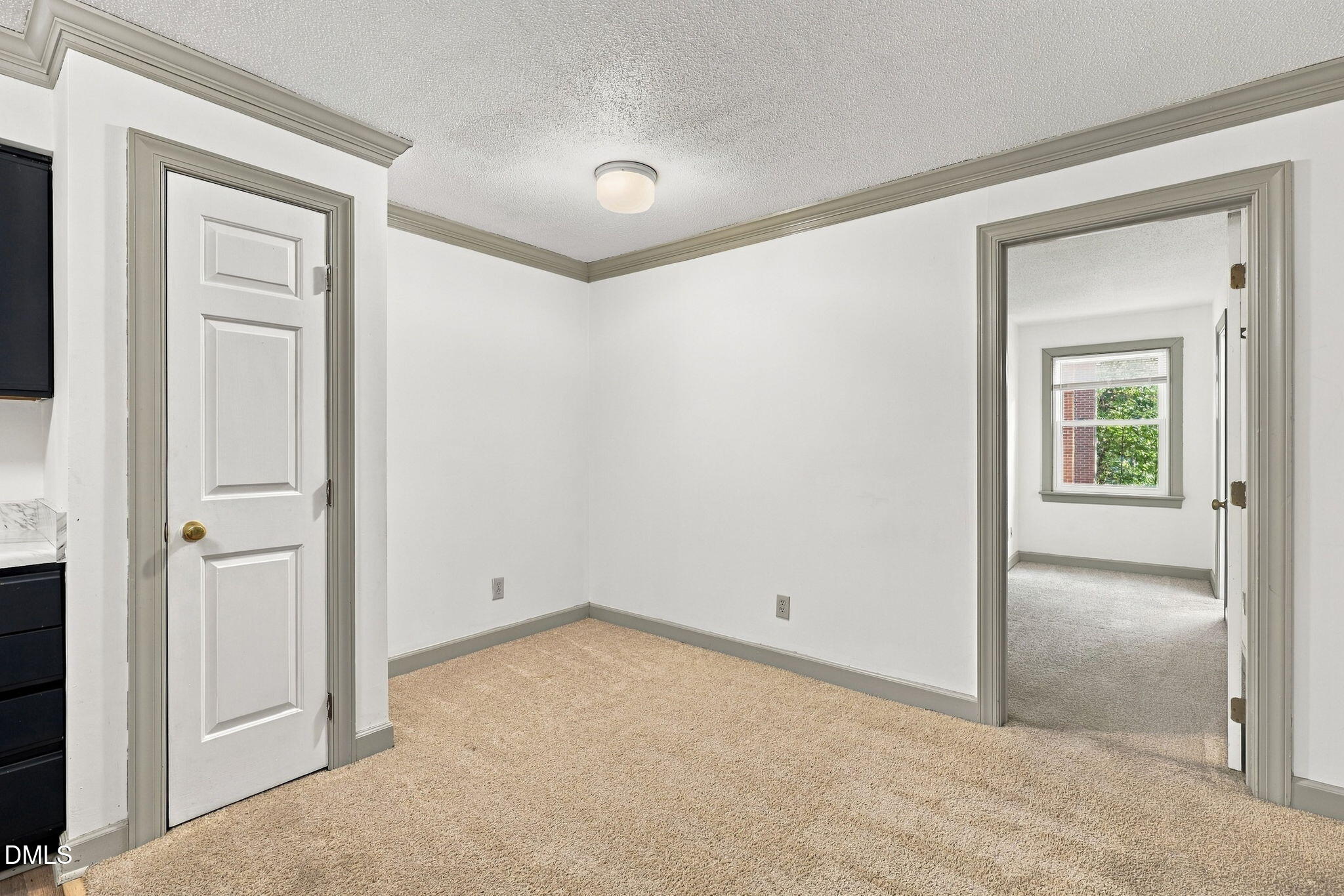 3502 Ivy Commons Drive Property Photo 19