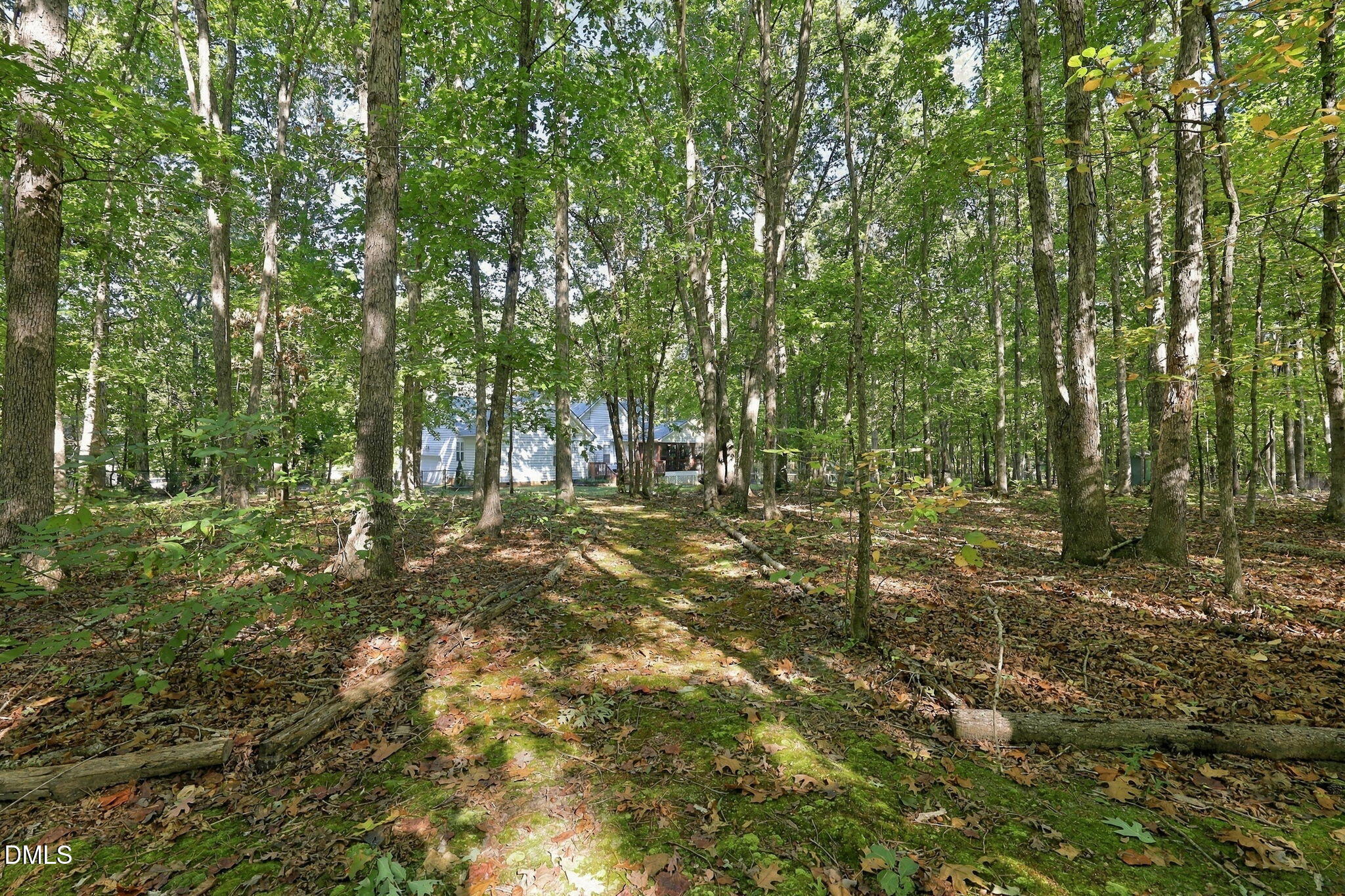 3714 Dillon Lane Property Photo 37