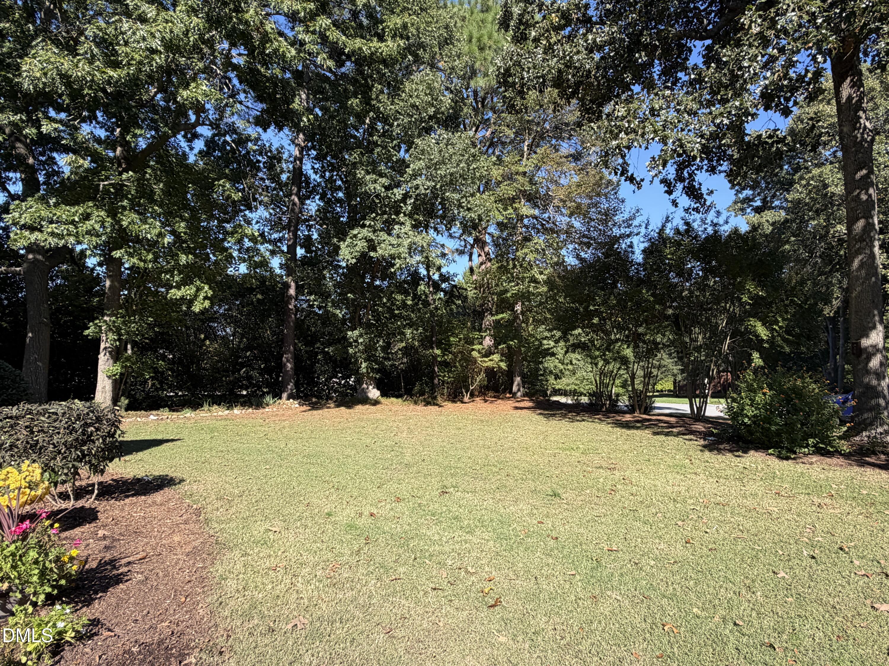 3200 Oaklyn Springs Drive Property Photo 4