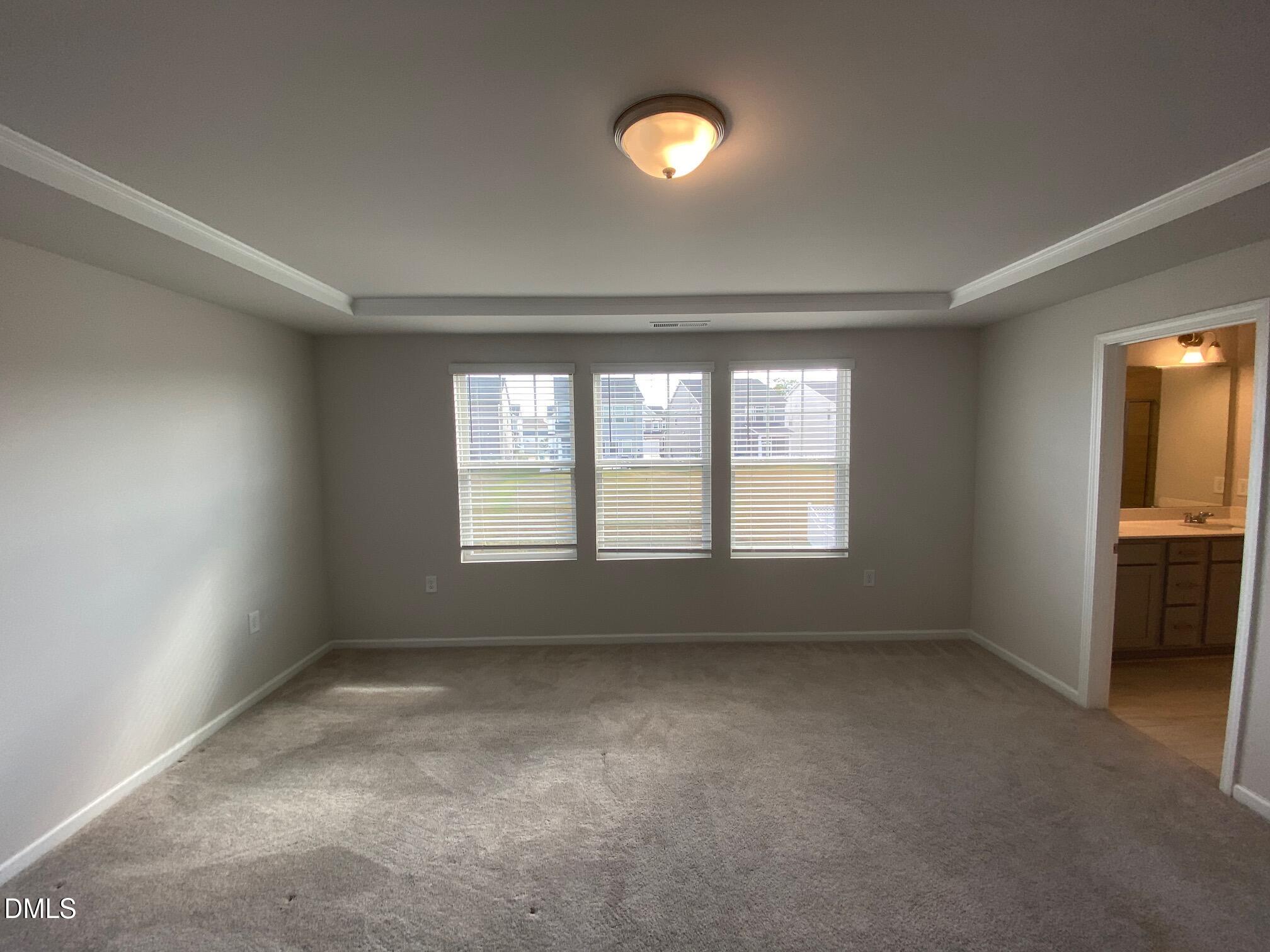 4305 Olde Waverly Way Property Photo 35