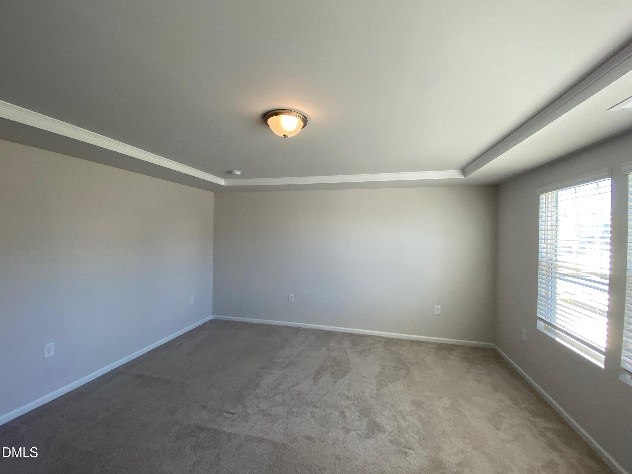 4305 Olde Waverly Way Property Photo 54