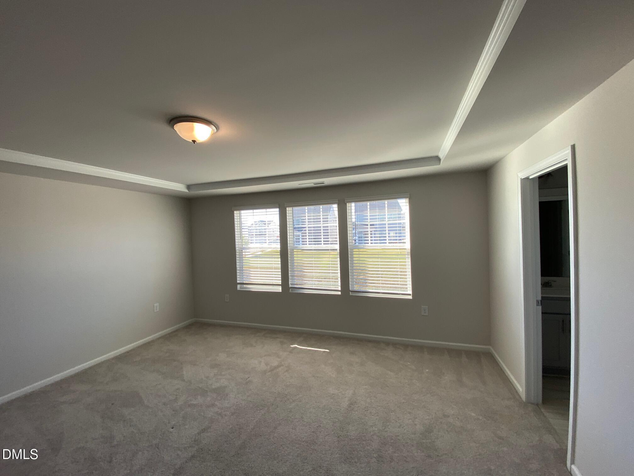 4305 Olde Waverly Way Property Photo 56