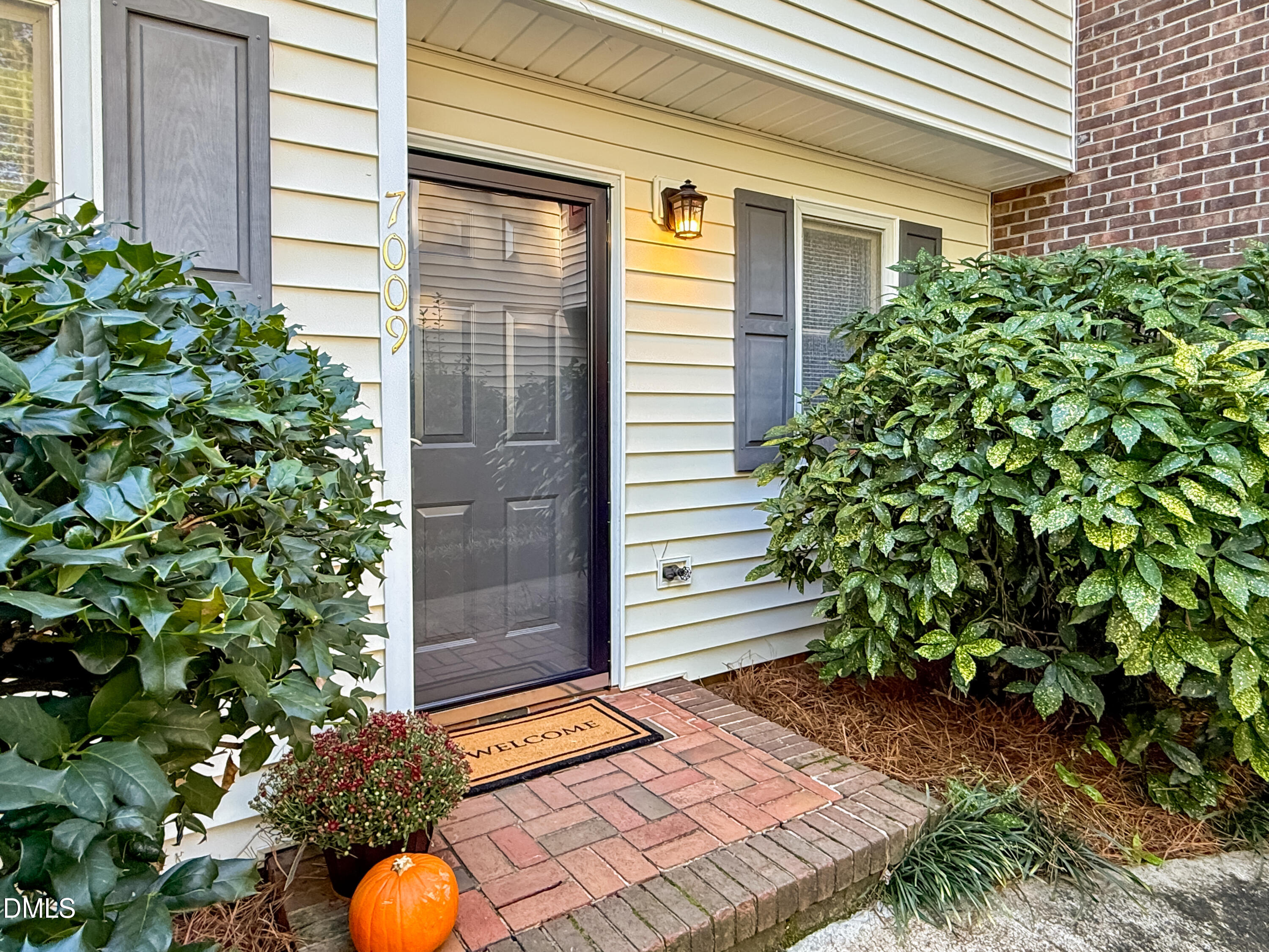 7009 Staghorn Lane Property Photo 1