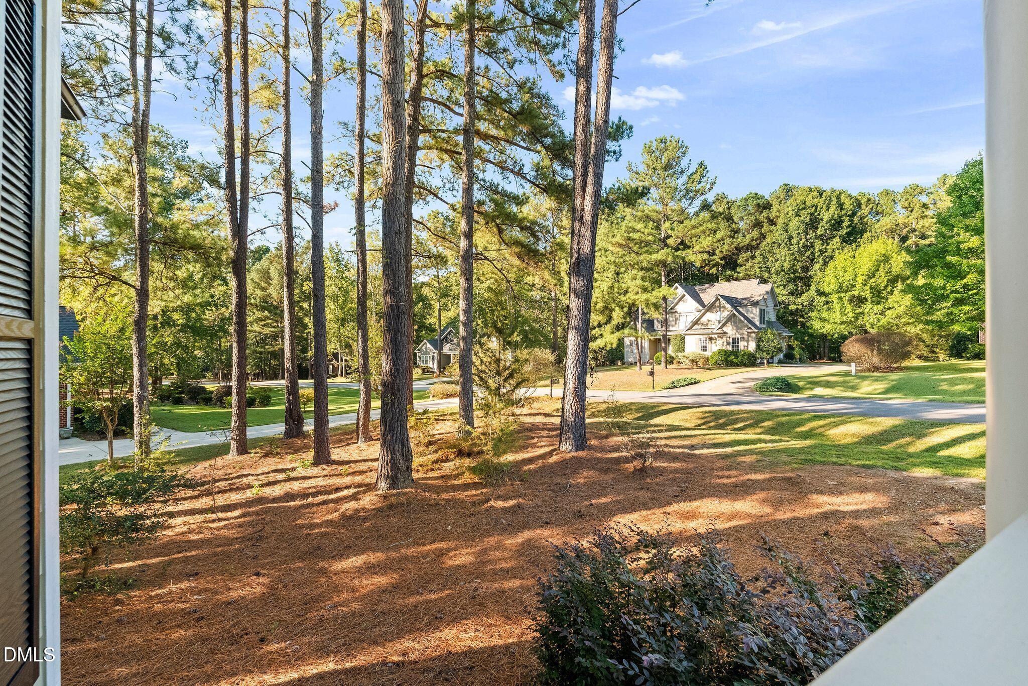 5724 Manor Plantation Drive Property Photo 39