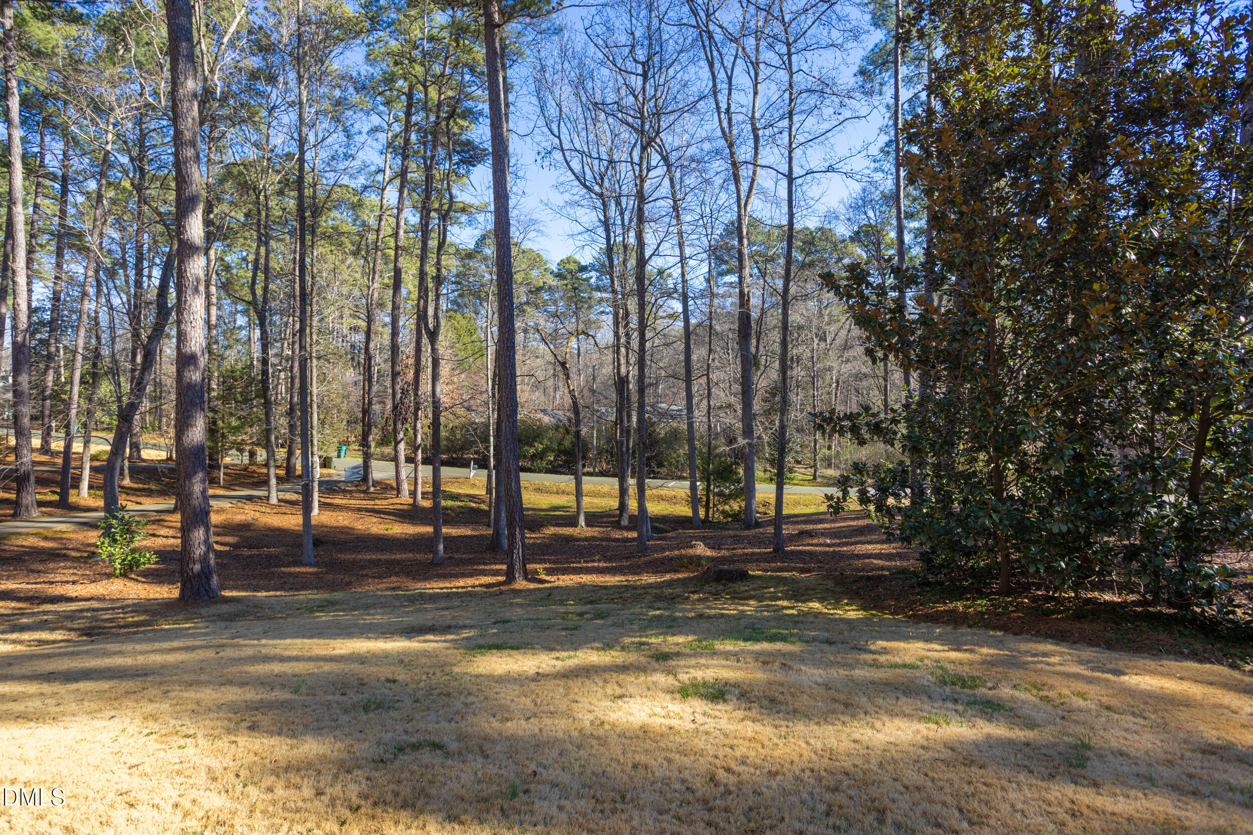 3514 Rugby Road Property Photo 55