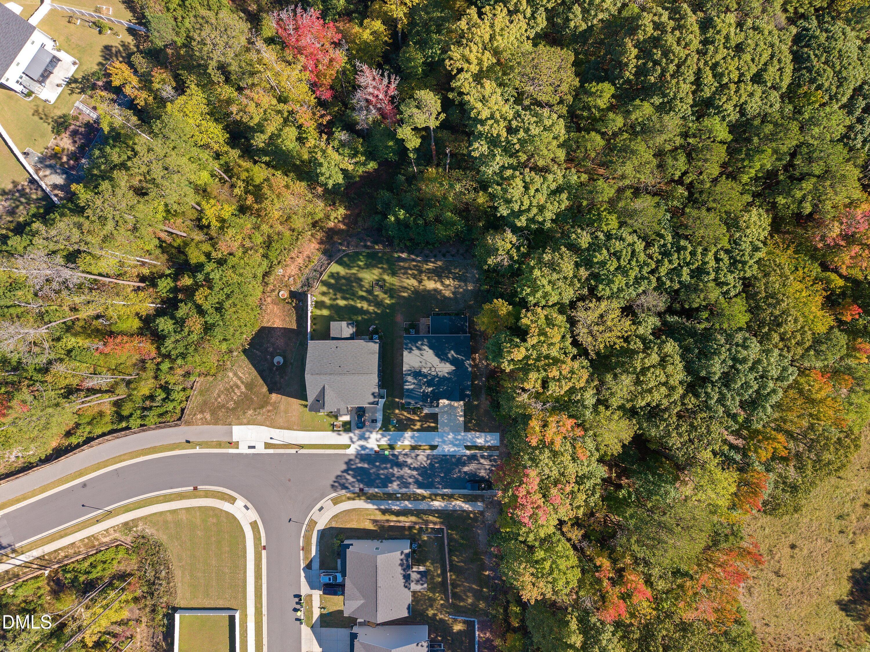 2783 Turner Pines Drive Property Photo 3