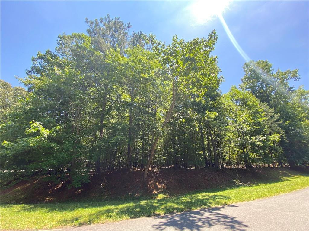 3502 Stonegate Drive Property Photo 6