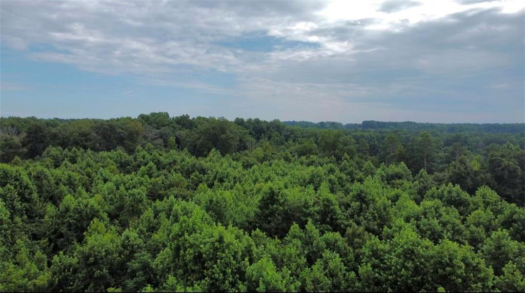 0 Willard Road Property Photo 3