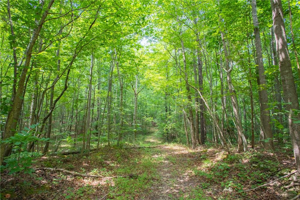 131 Shadow Ridge Drive Property Photo 3