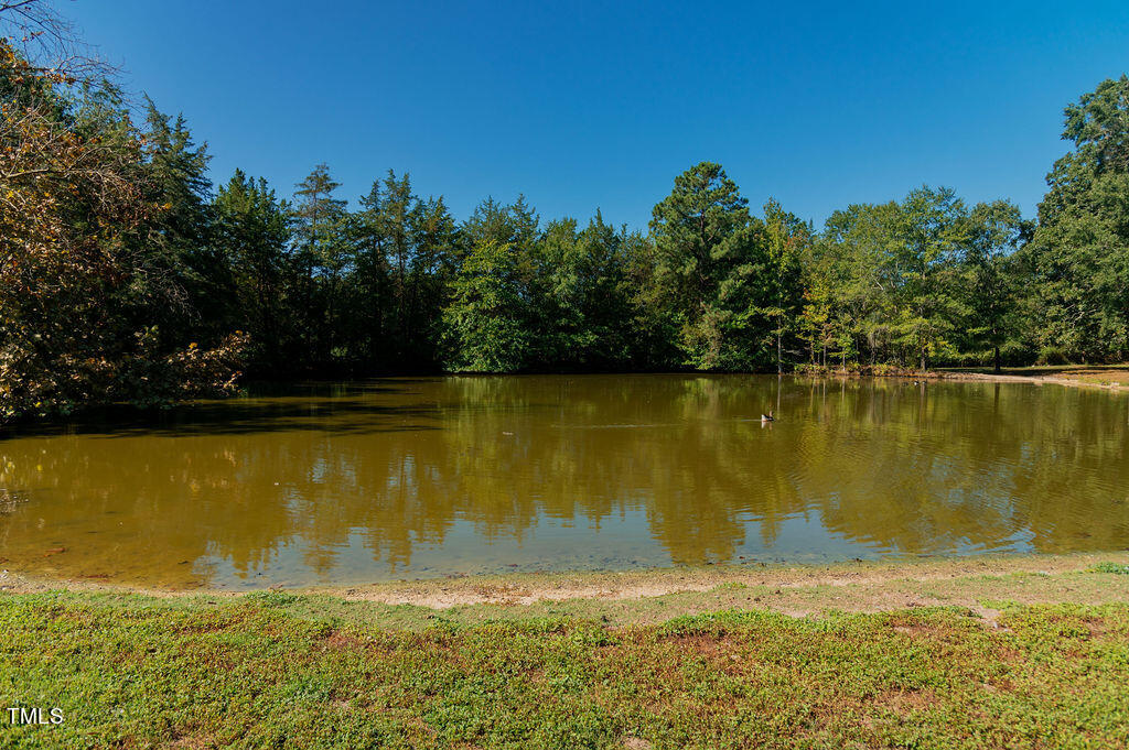 4941 Rumley Road Property Photo 22