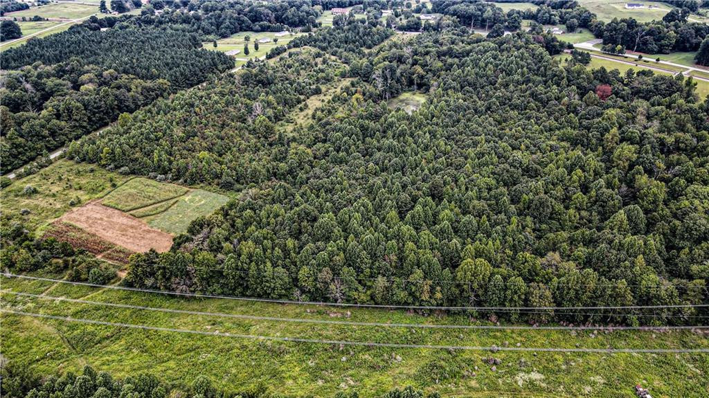 7025 Old 421 Road Property Photo 4