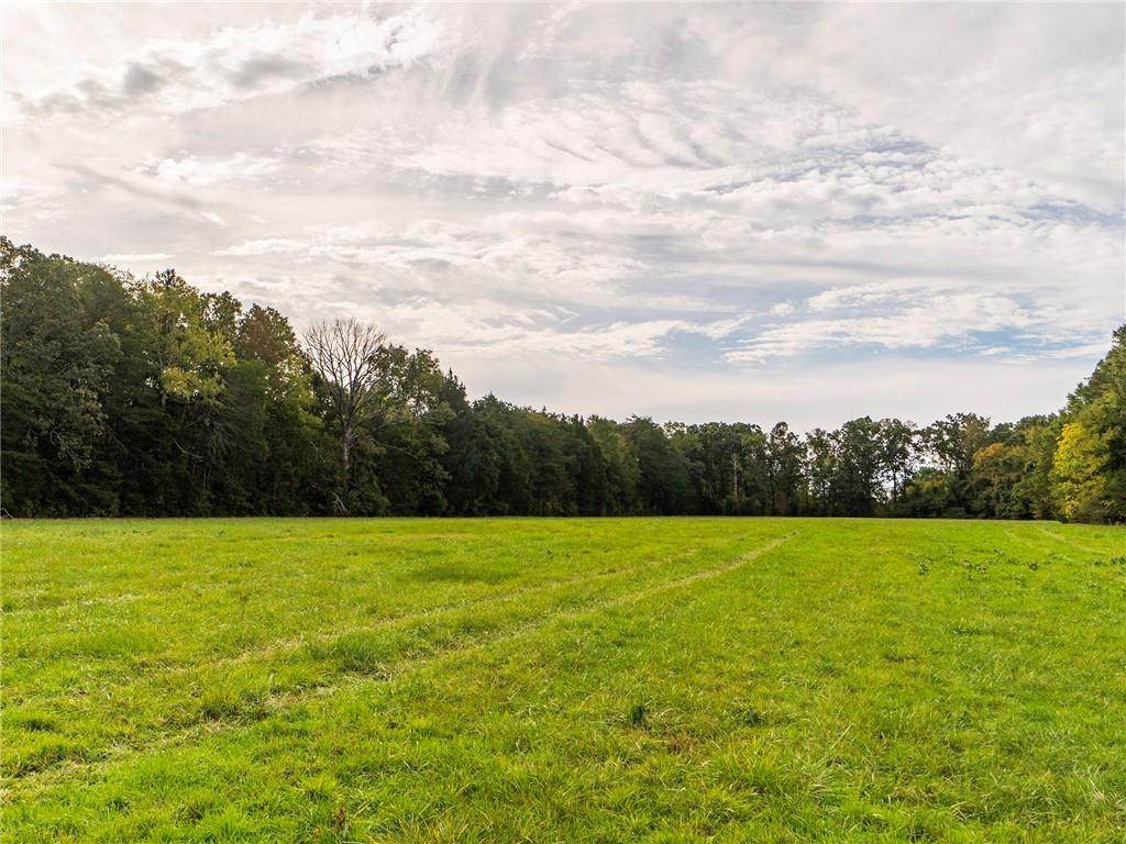 710 Woodard Drive Property Photo 10