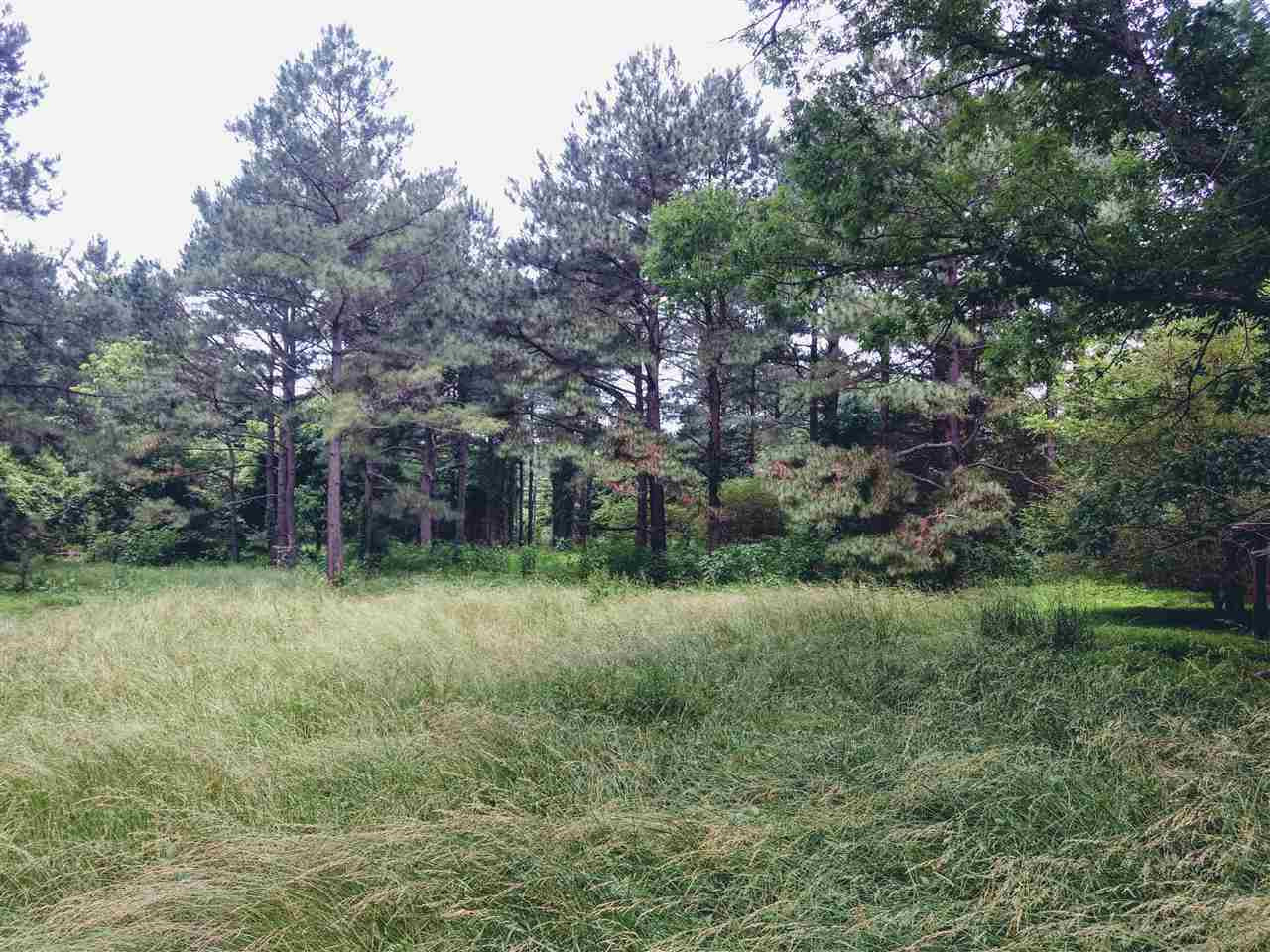 95 Old Poplar Creek Road Property Photo 3