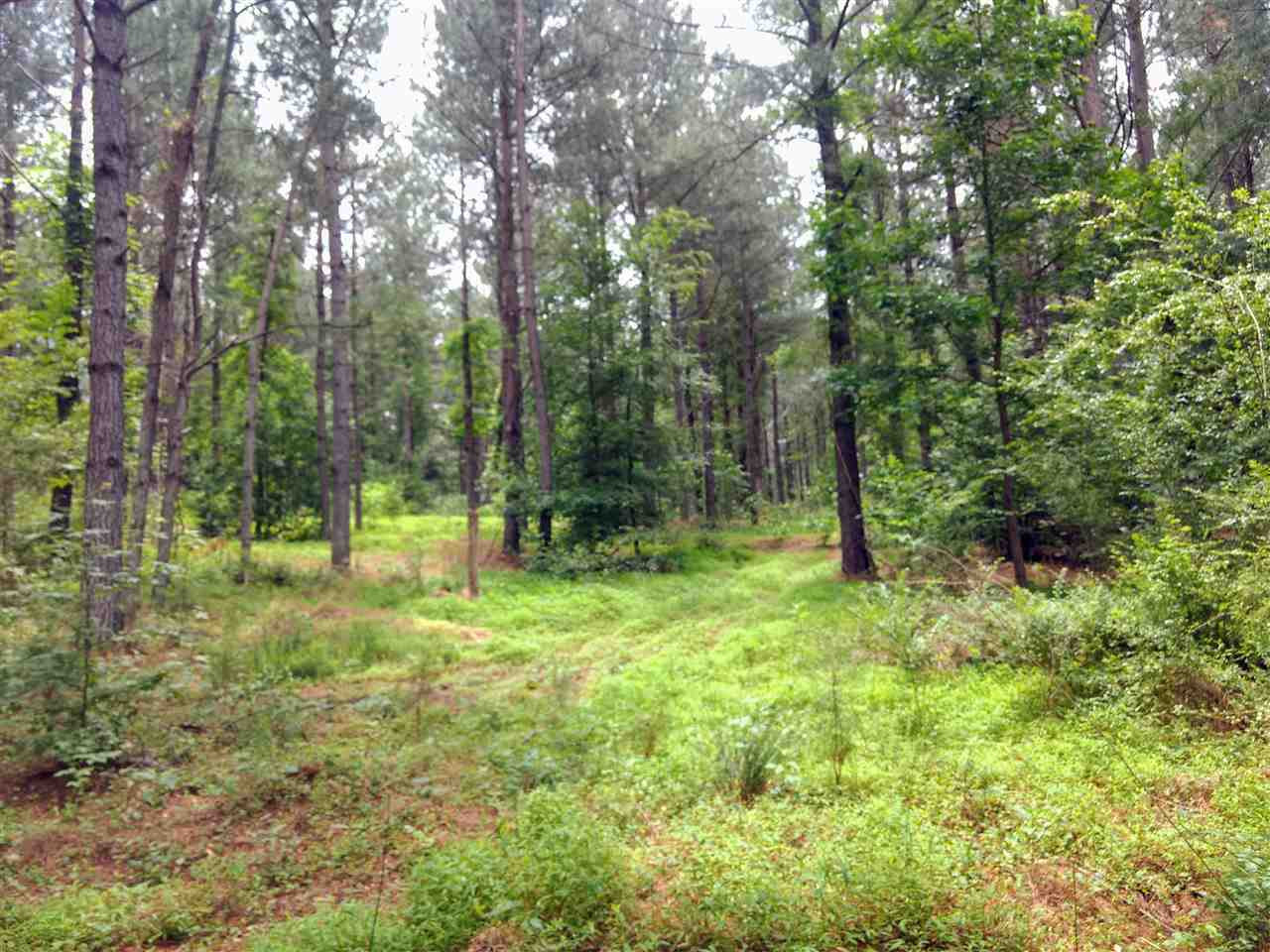 95 Old Poplar Creek Road Property Photo 5