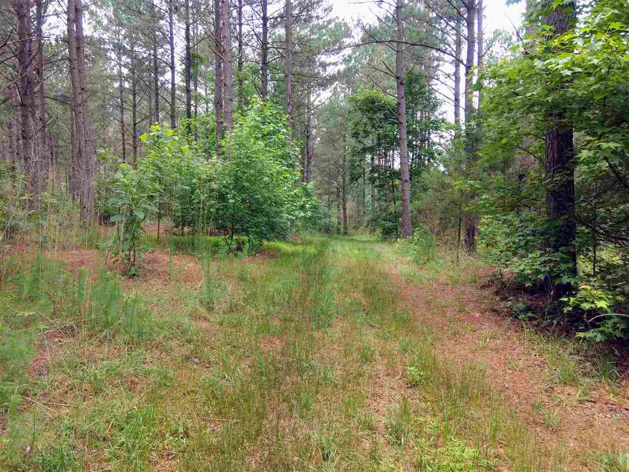 95 Old Poplar Creek Road Property Photo 6