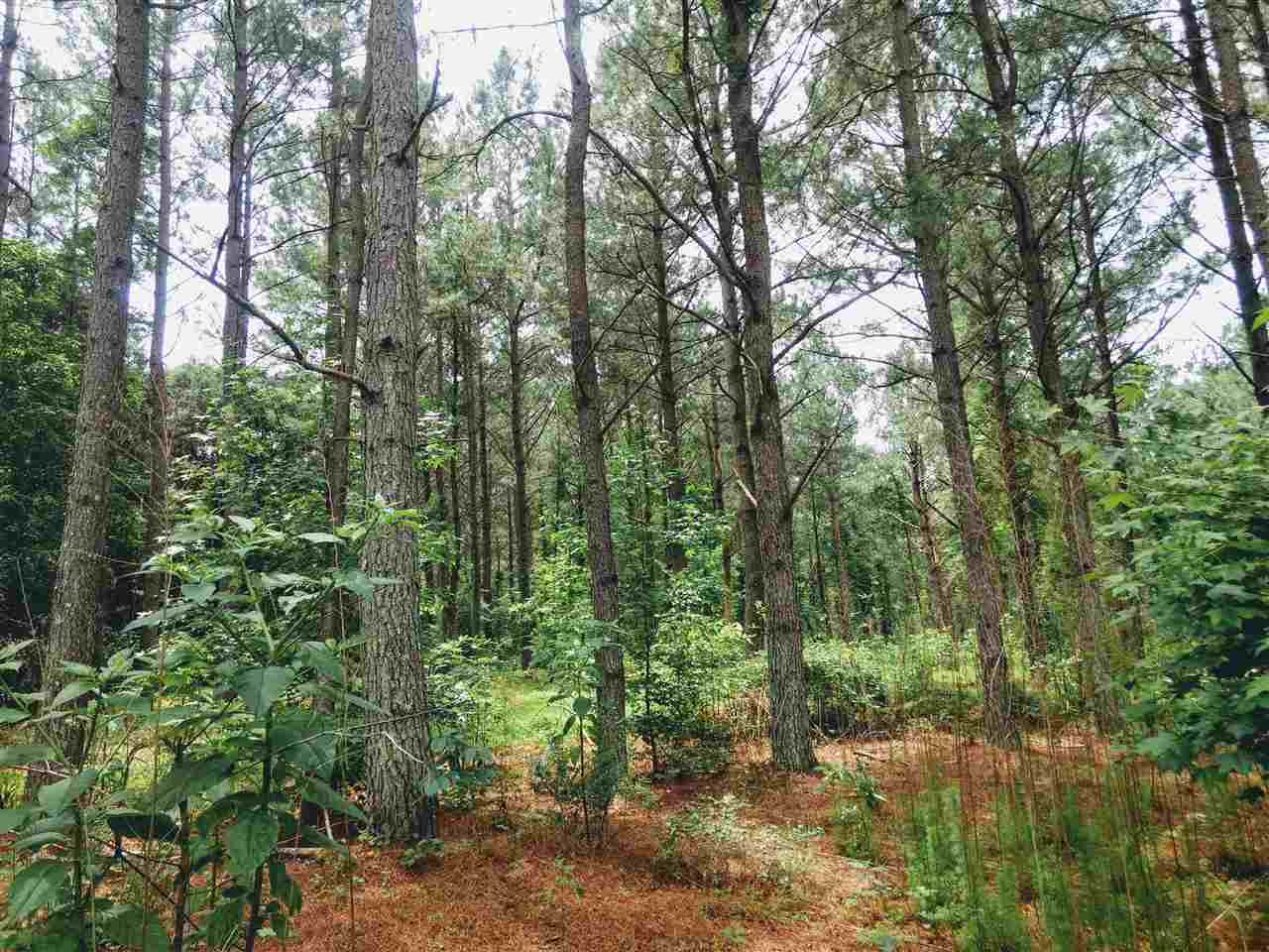 95 Old Poplar Creek Road Property Photo 8