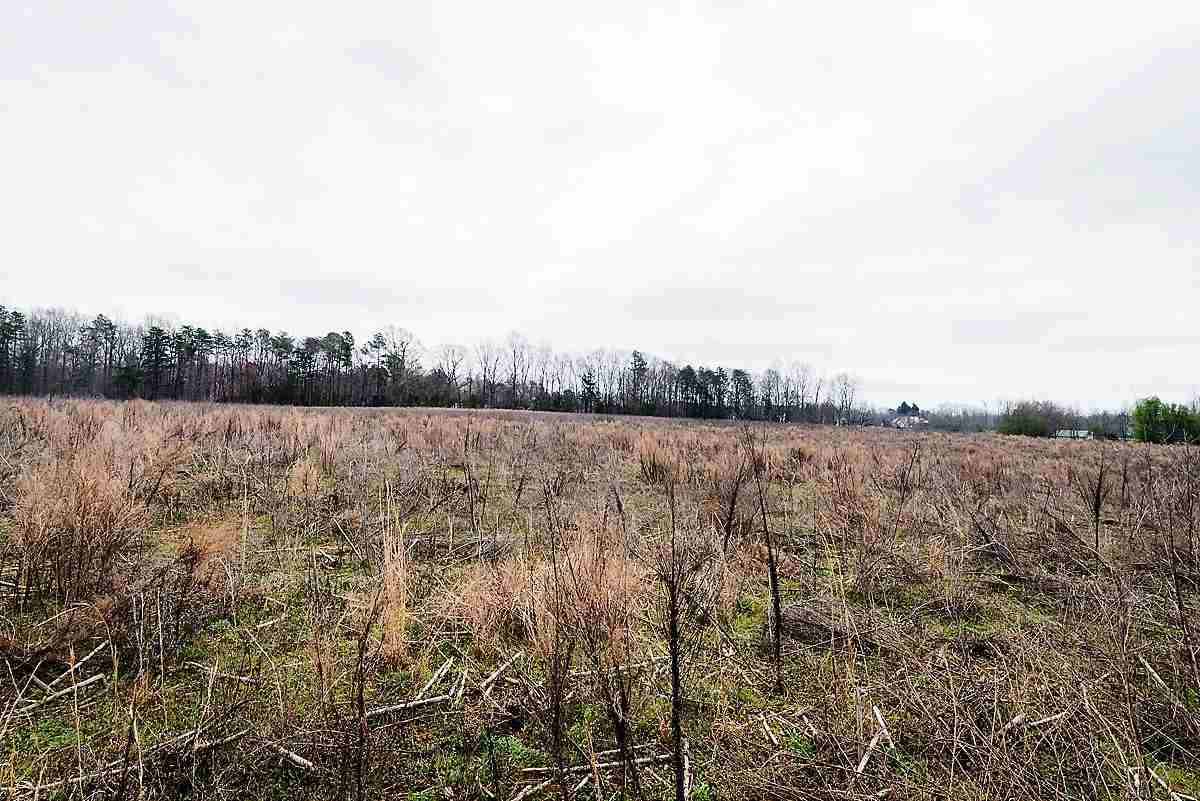 0 Saddle Club Road Property Photo 4