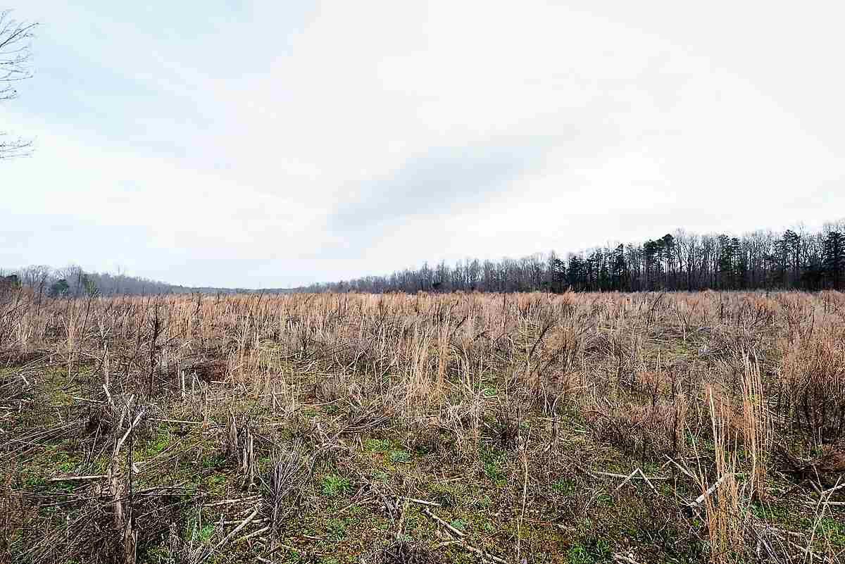 0 Saddle Club Road Property Photo 5