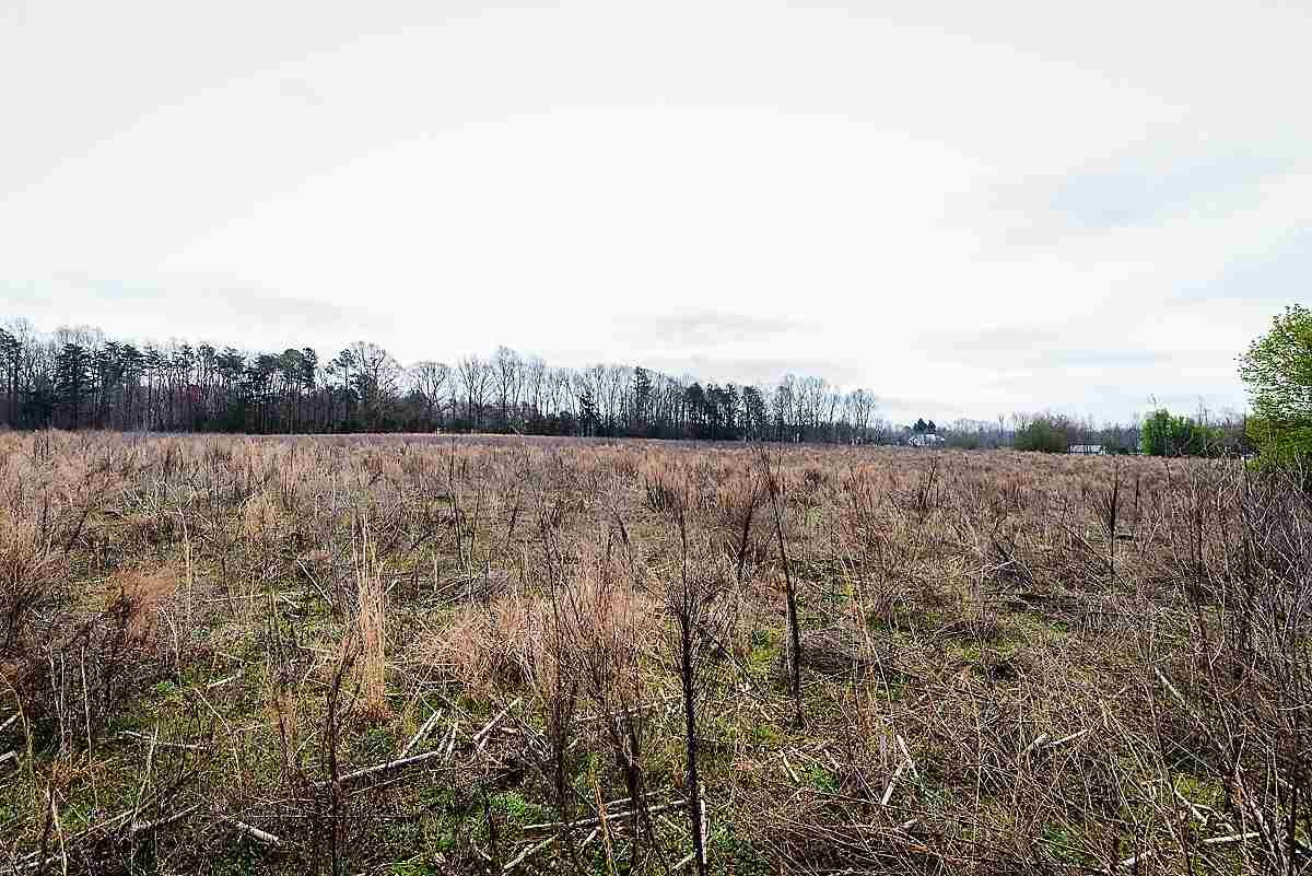 0 Saddle Club Road Property Photo 6