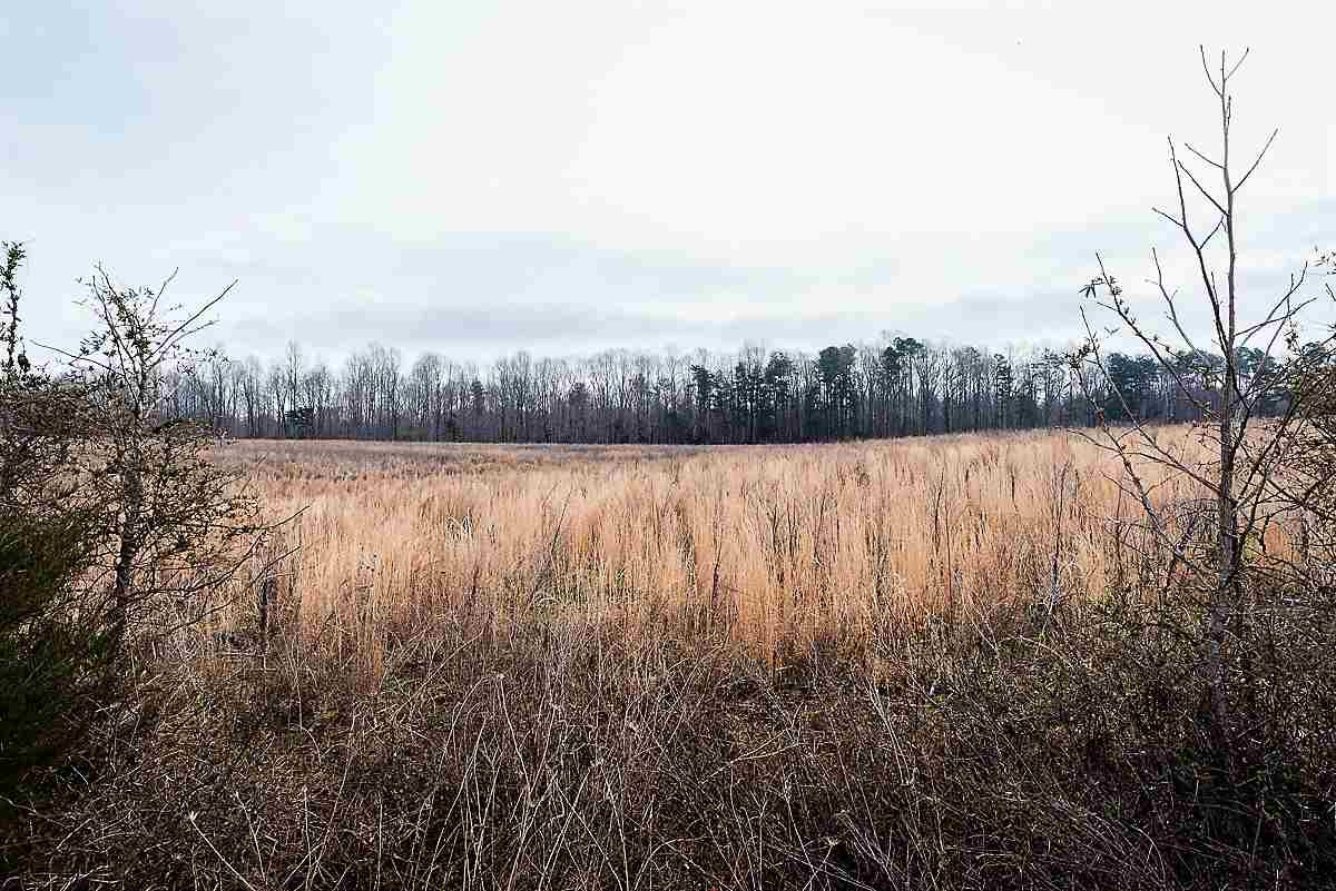 0 Saddle Club Road Property Photo 9