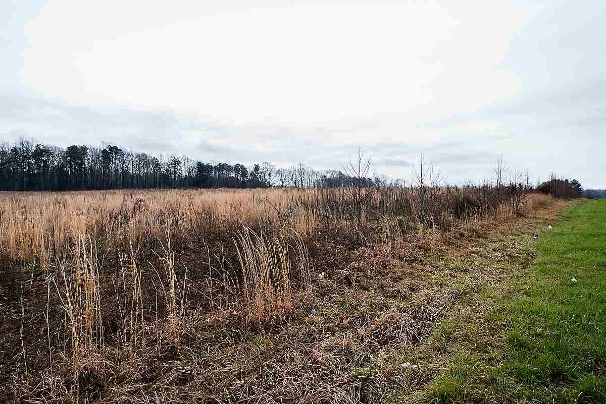0 Saddle Club Road Property Photo 11