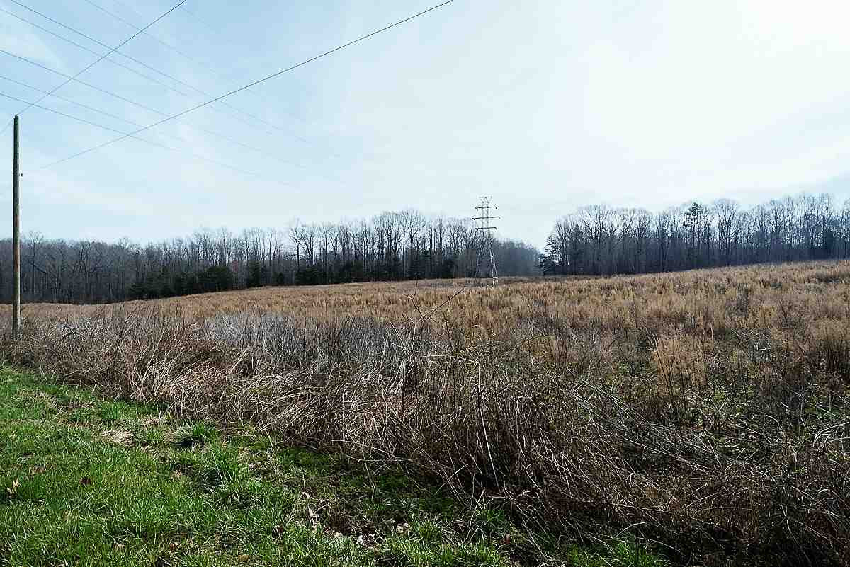 0 Saddle Club Road Property Photo 12