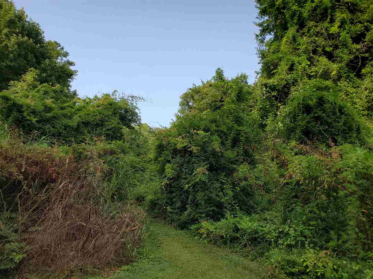 0 Trinity Road Property Photo