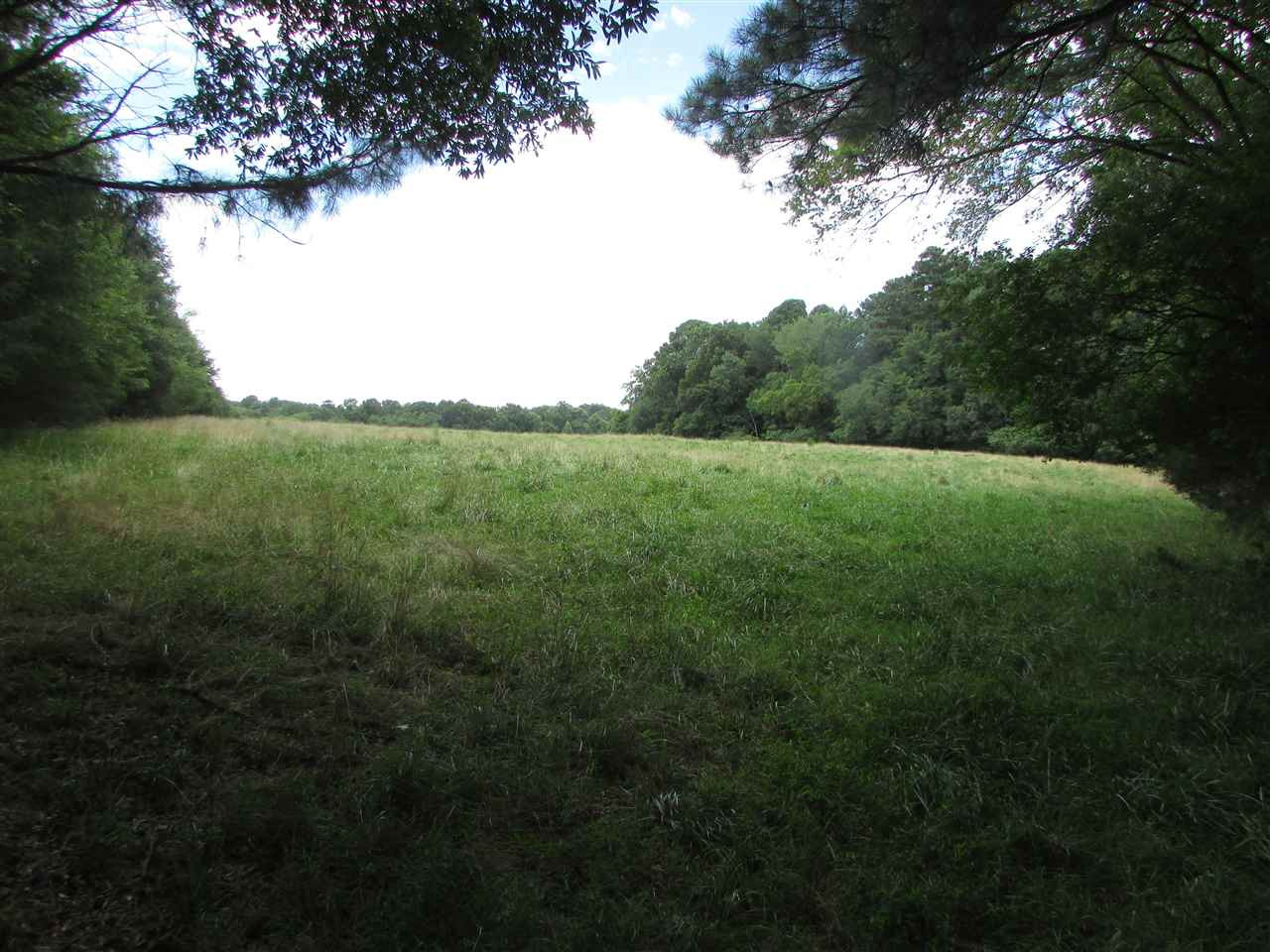 Loves Creek Church Road Property Photo