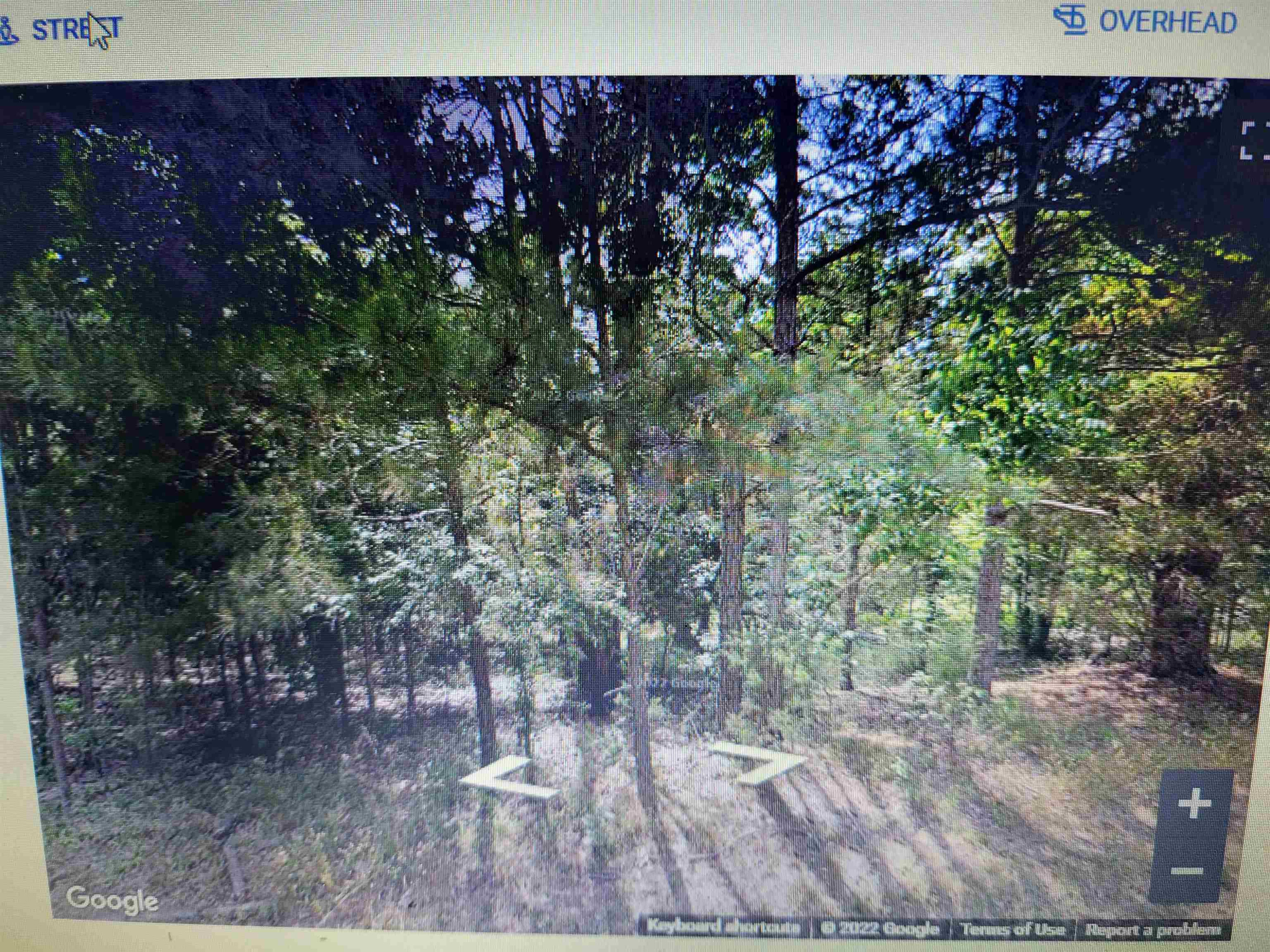 716 Virgil Road Property Photo 16