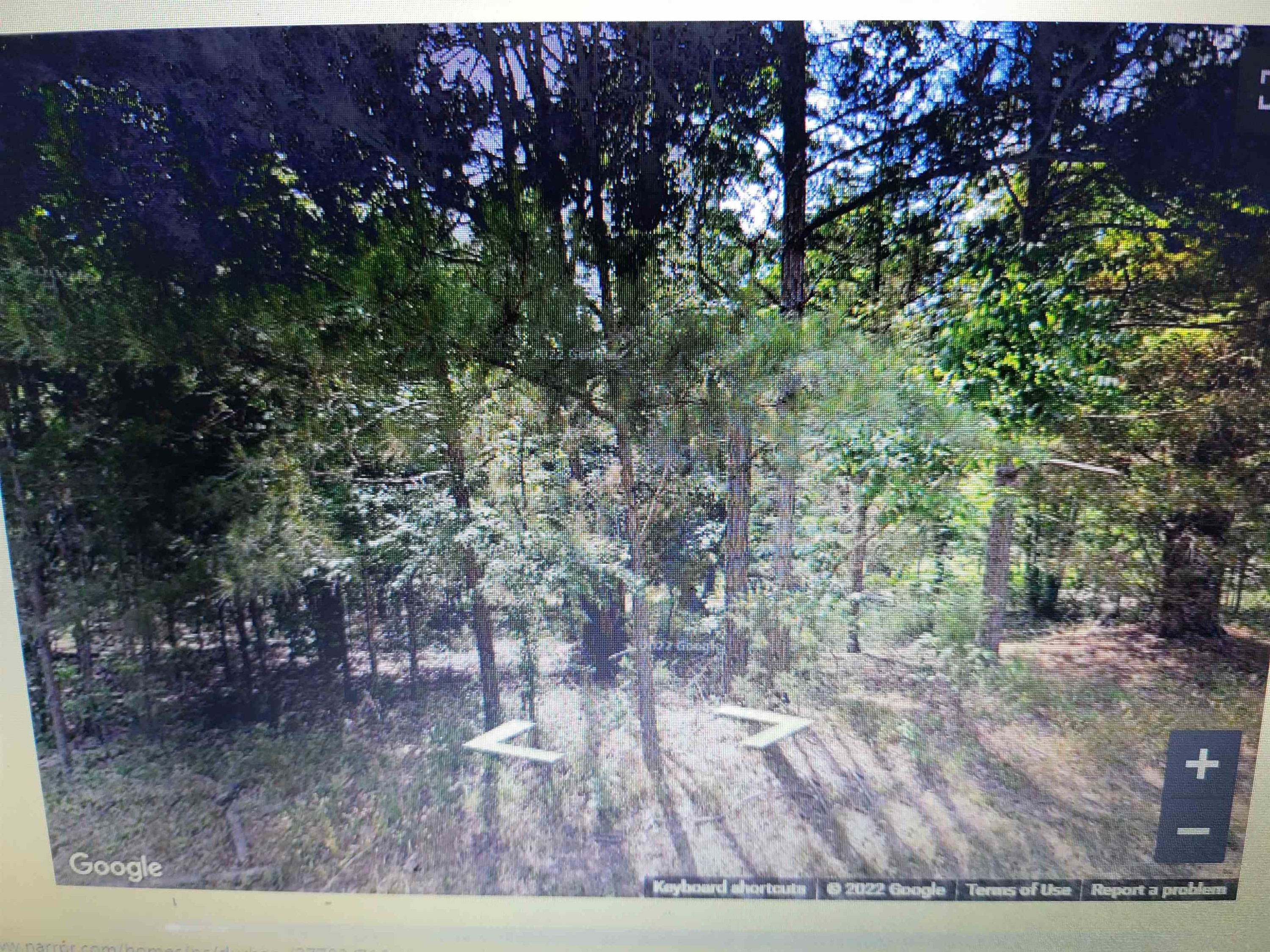 716 Virgil Road Property Photo 17